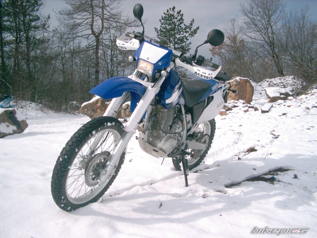 2004 YAMAHA TTR 600 | Picture 2269732 motorcycle photo