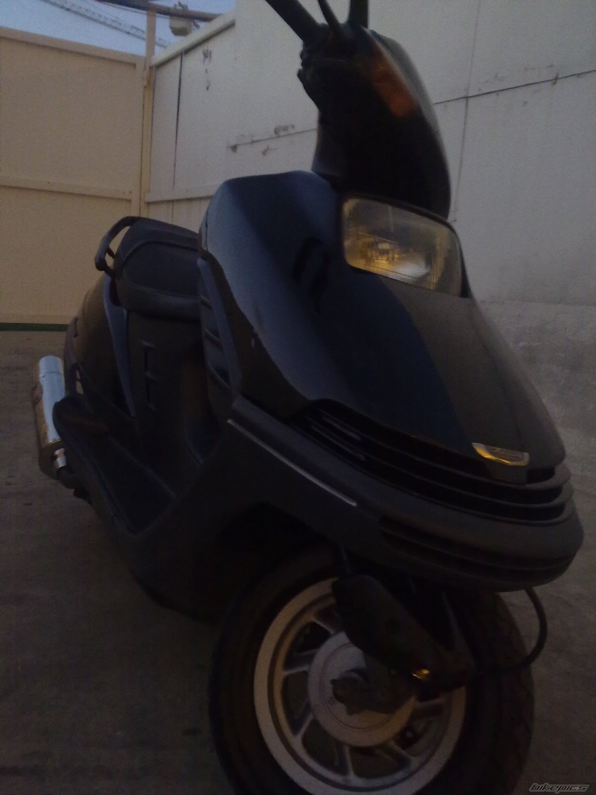 1995 HONDA FREEWAY 250 | Picture 2269784 motorcycle photo