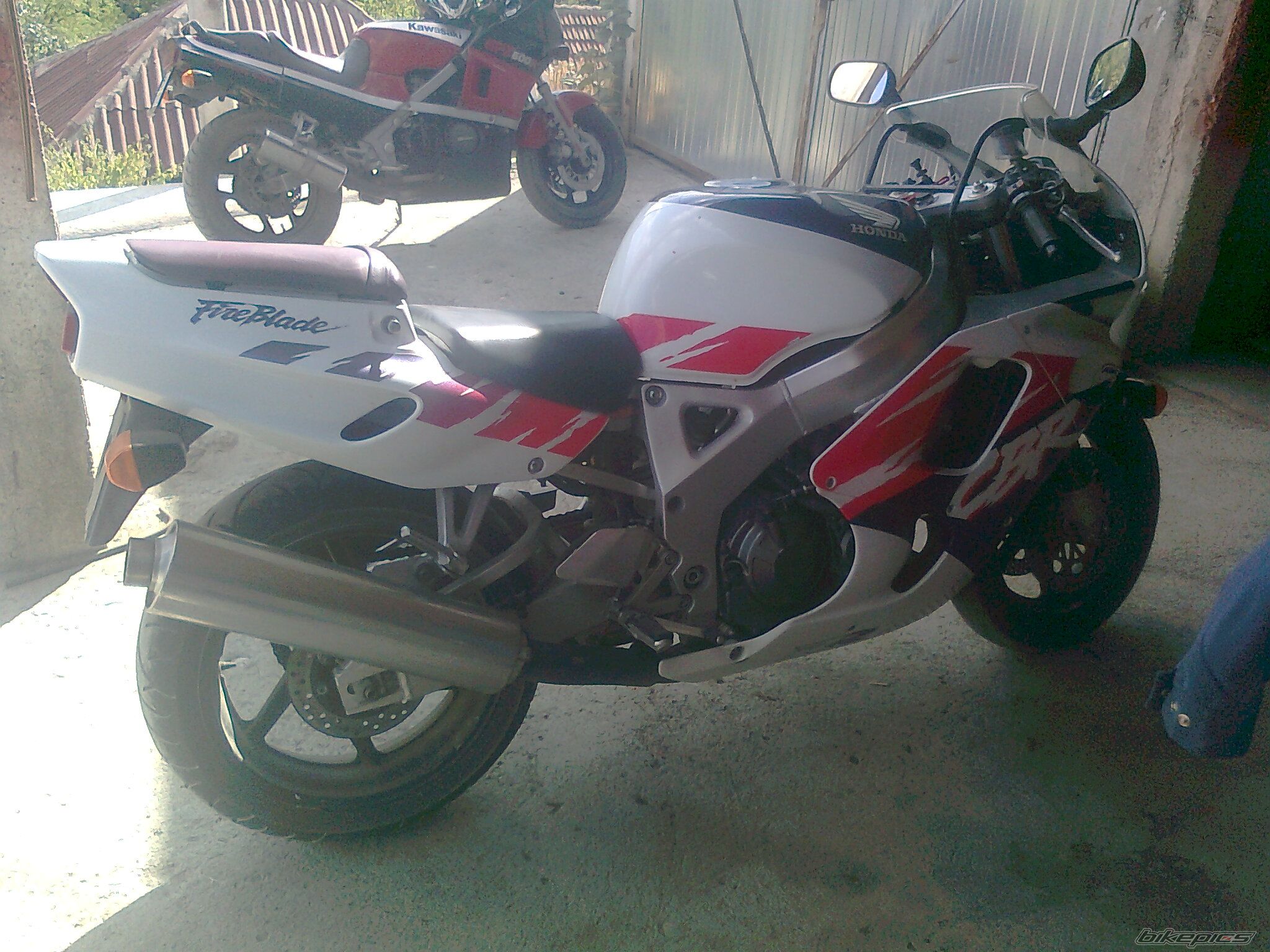 1993 HONDA CBR 900RR FIREBLADE | Picture 2269881 motorcycle photo