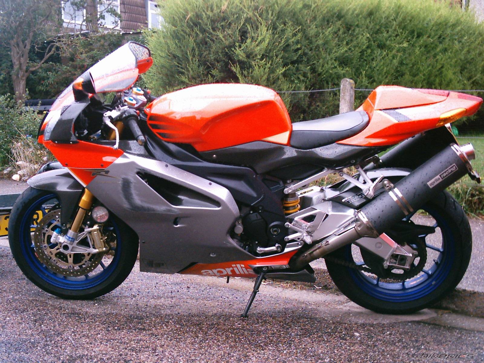 2004 APRILIA RSV MILLE FACTORY | Picture 227002 motorcycle photo
