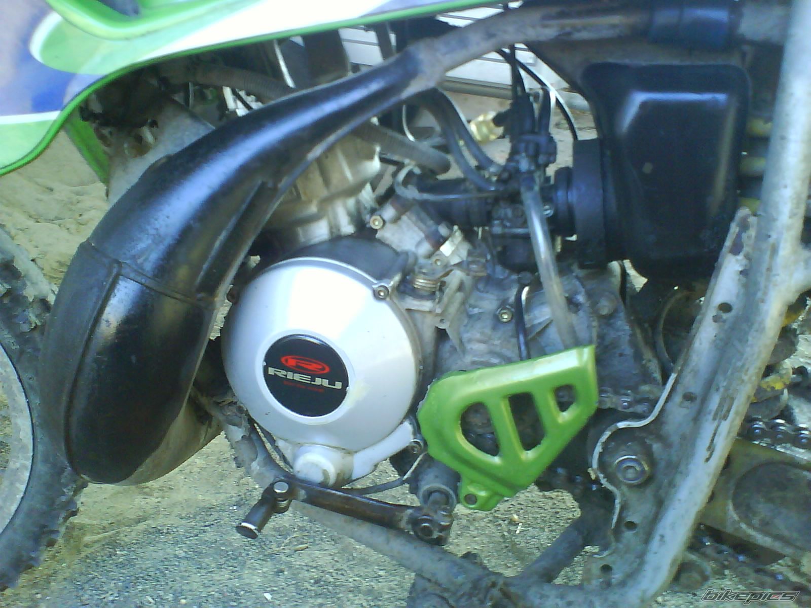 1998 RIEJU RR 50 | Picture 2270786 motorcycle photo
