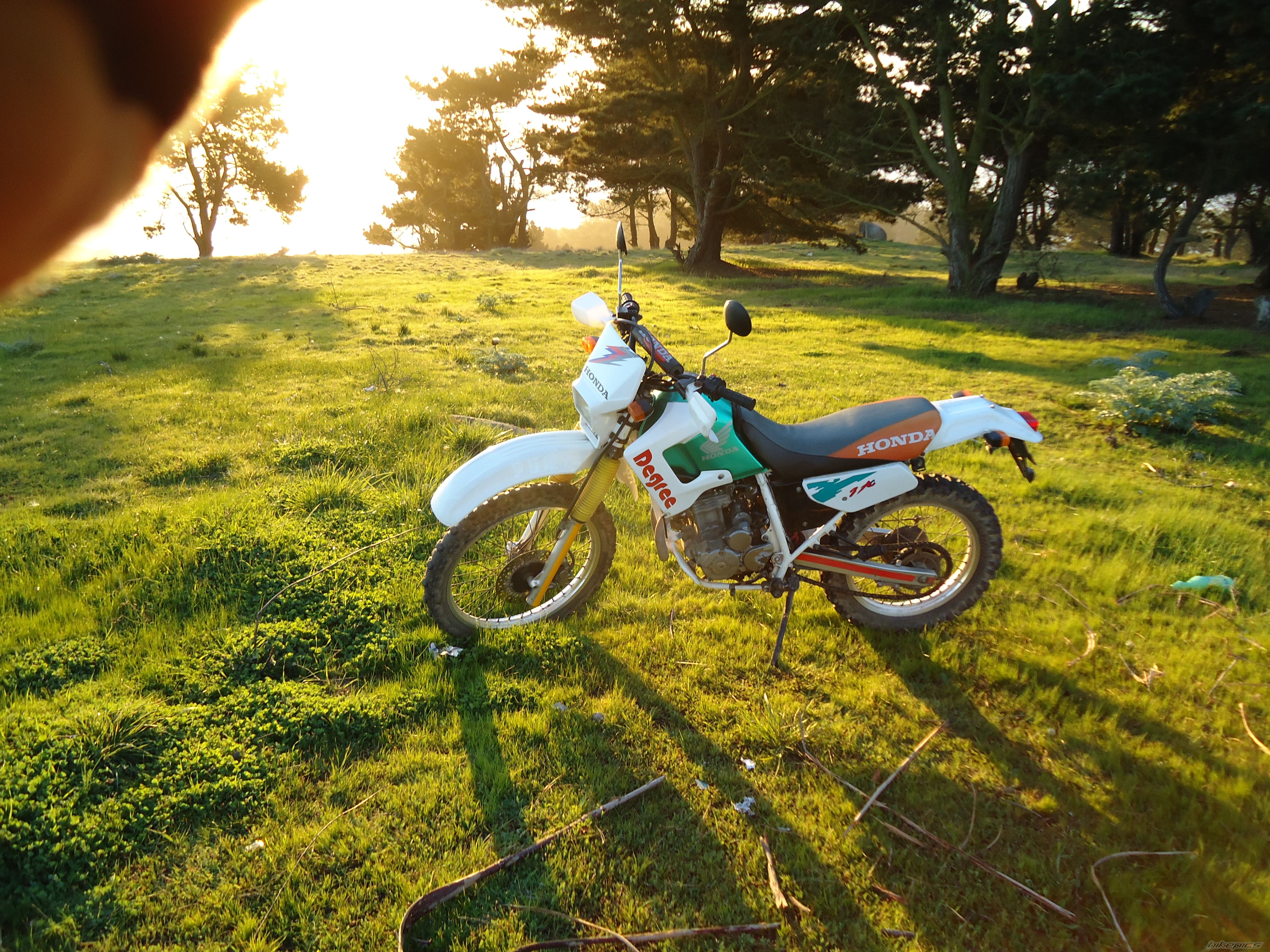 1993 HONDA XL 250 DEGREE | Picture 2270985 motorcycle photo