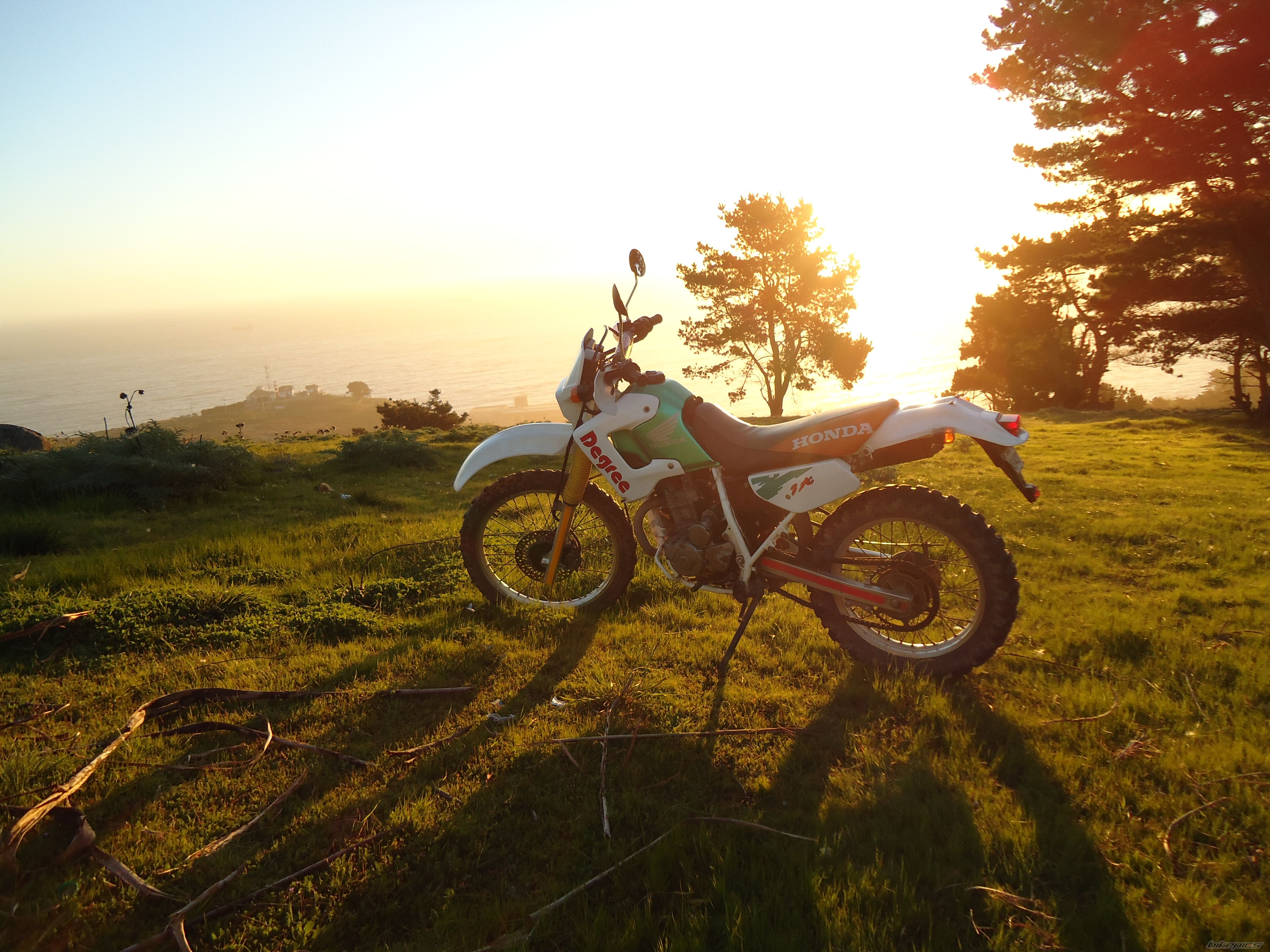 1993 HONDA XL 250 DEGREE | Picture 2270986 motorcycle photo