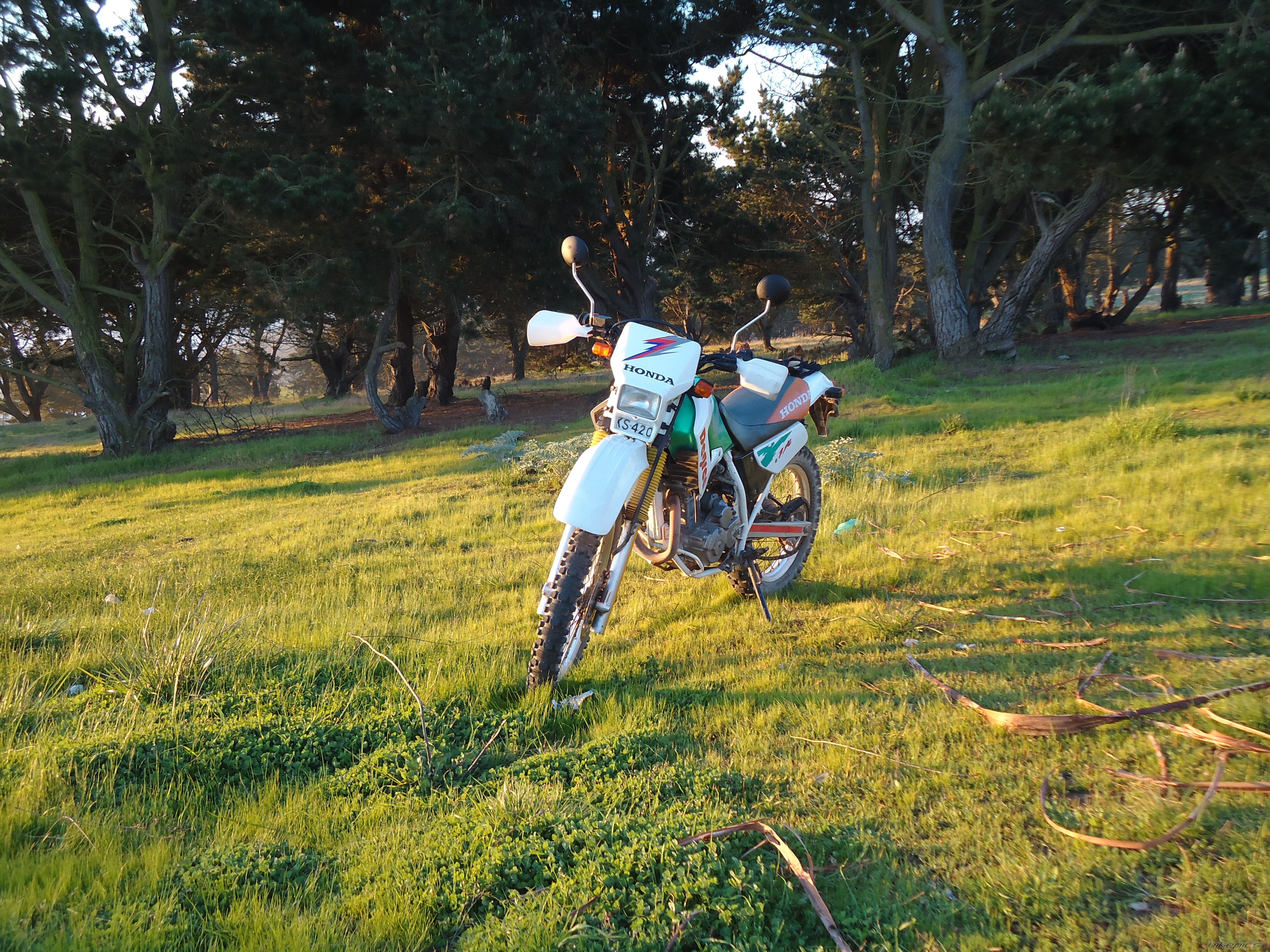 1993 HONDA XL 250 DEGREE | Picture 2270987 motorcycle photo