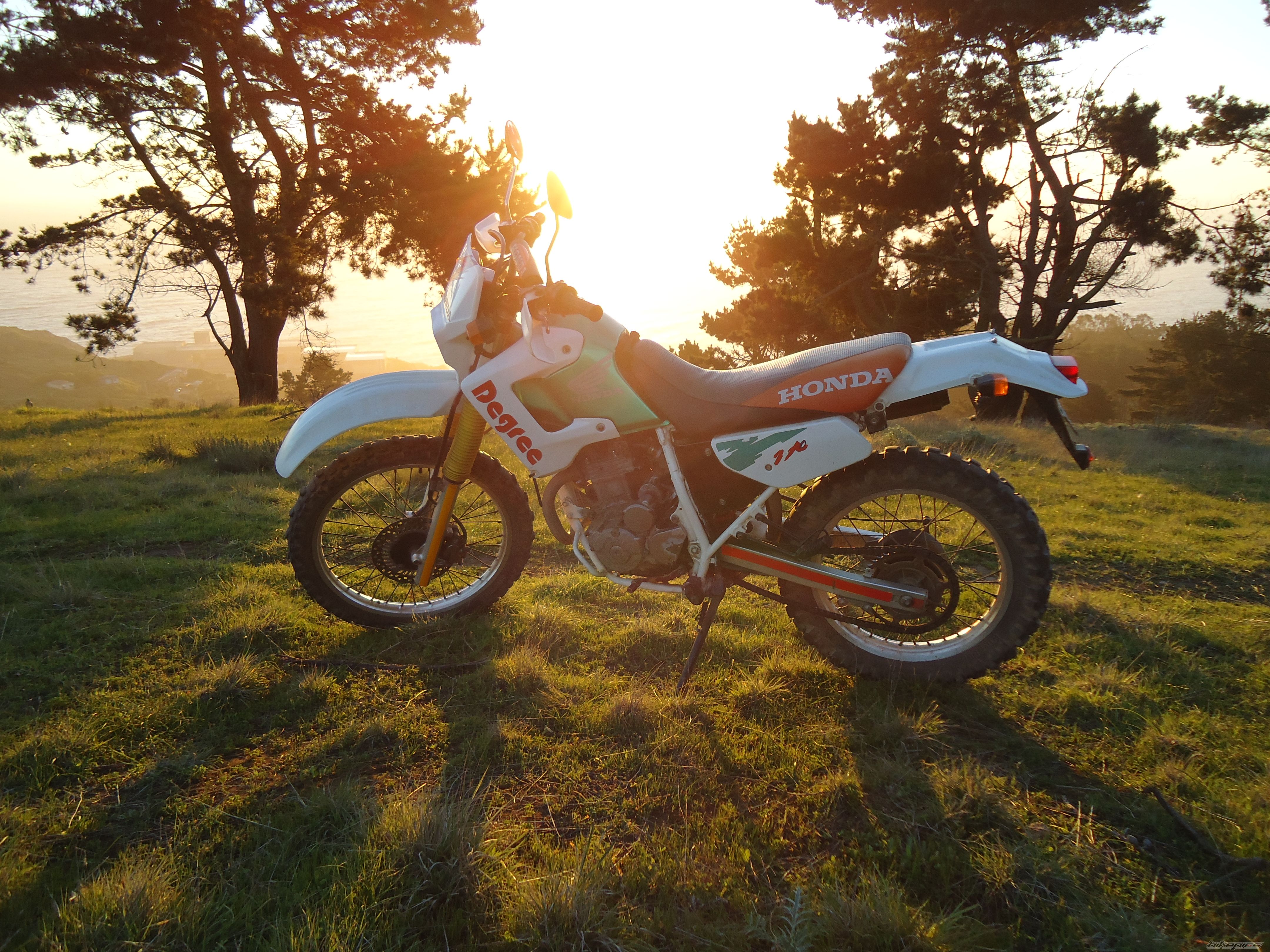 1993 HONDA XL 250 DEGREE | Picture 2270989 motorcycle photo
