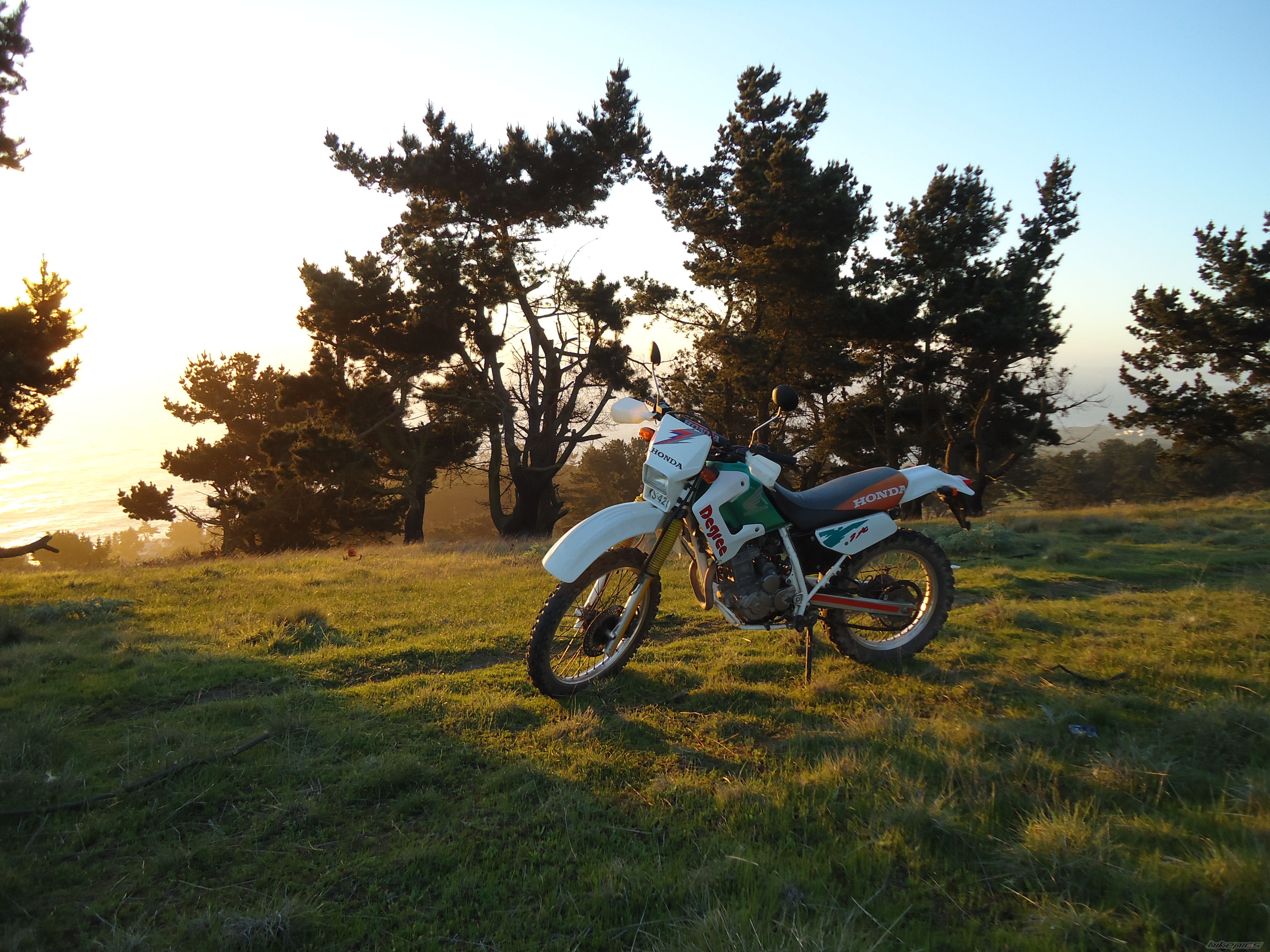 1993 HONDA XL 250 DEGREE | Picture 2270990 motorcycle photo