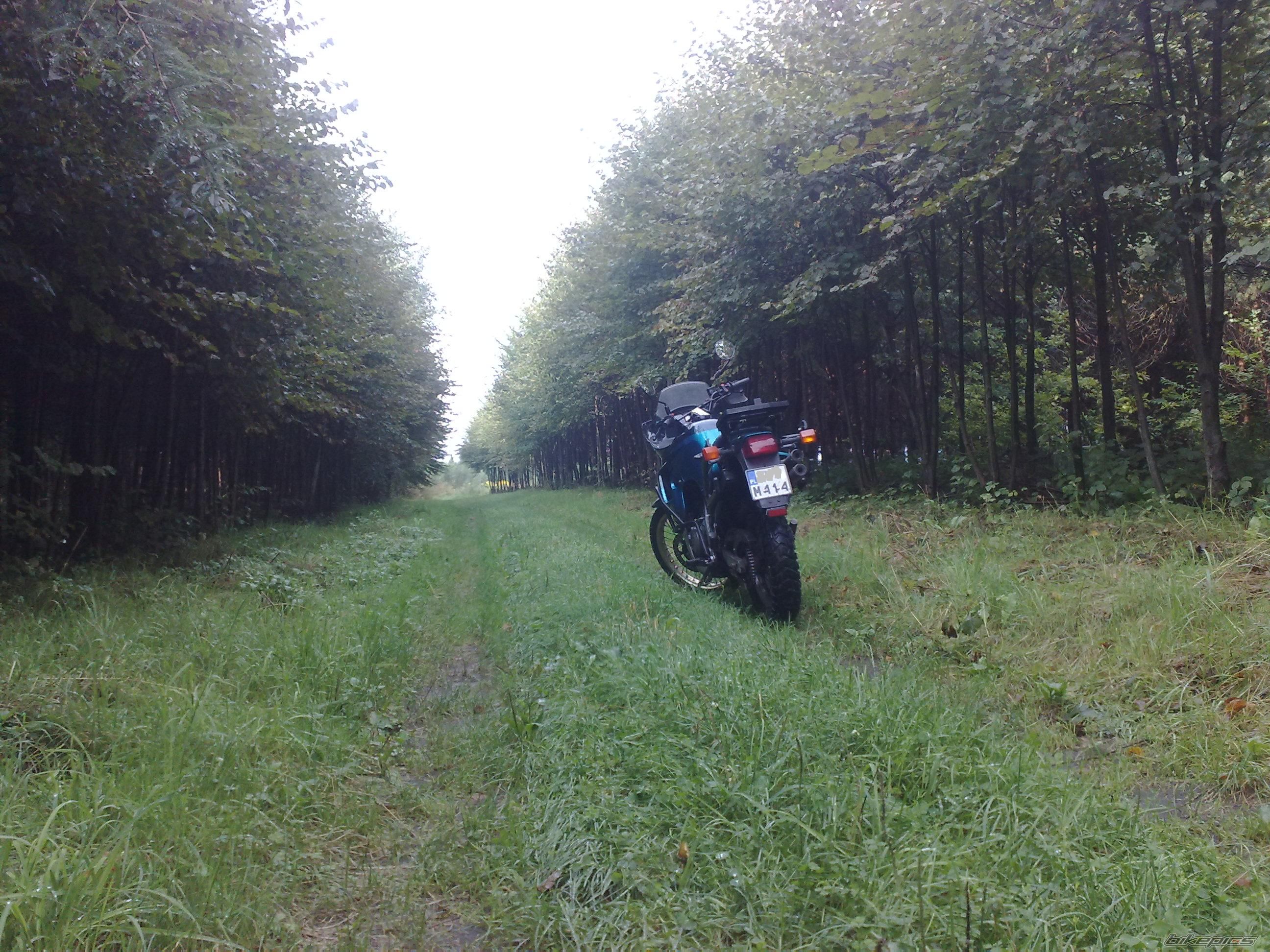 1995 HONDA XL 600V TRANSALP | Picture 2271162 motorcycle photo