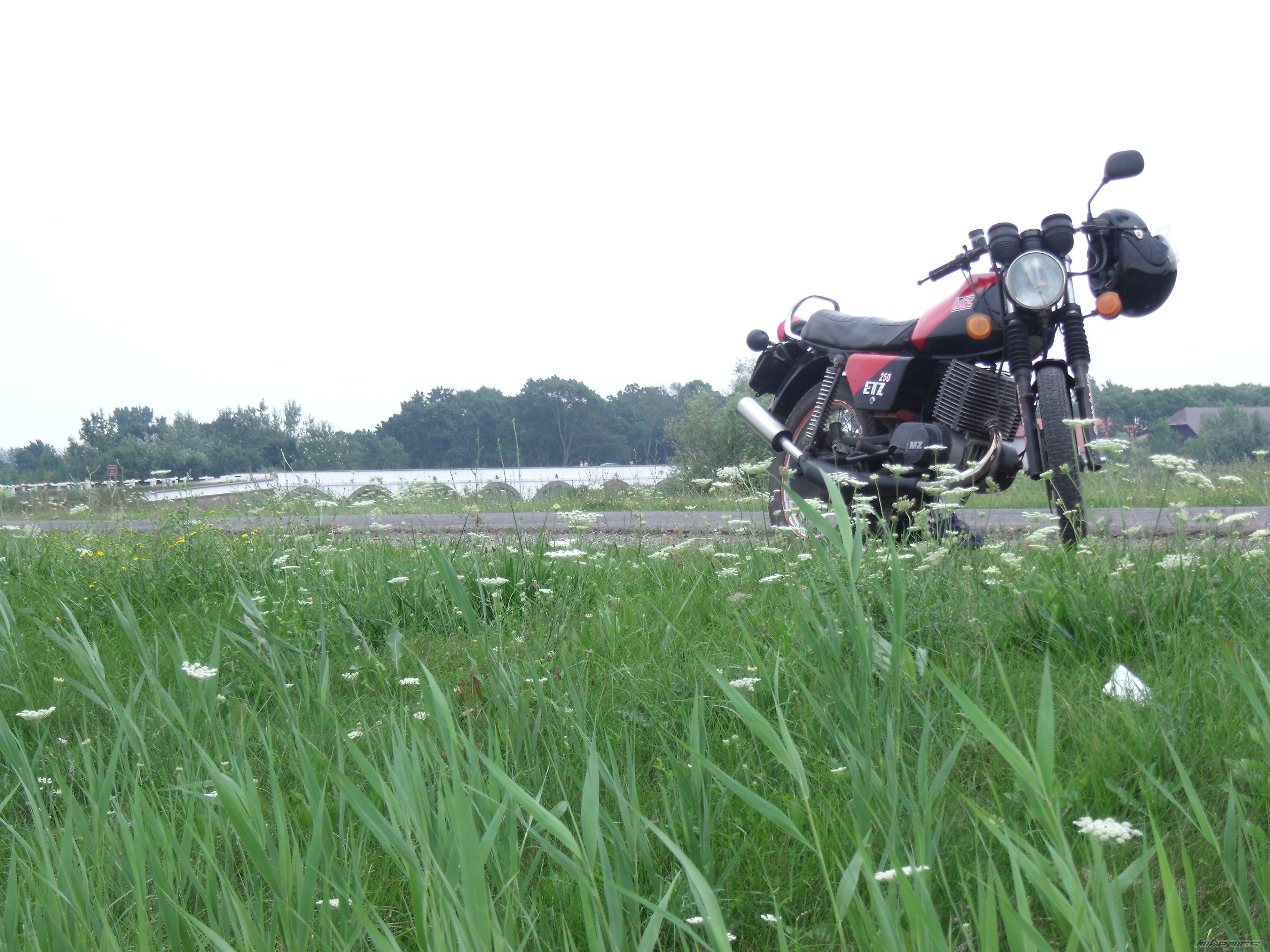 1986 MZ ETZ 250 | Picture 2271479 motorcycle photo