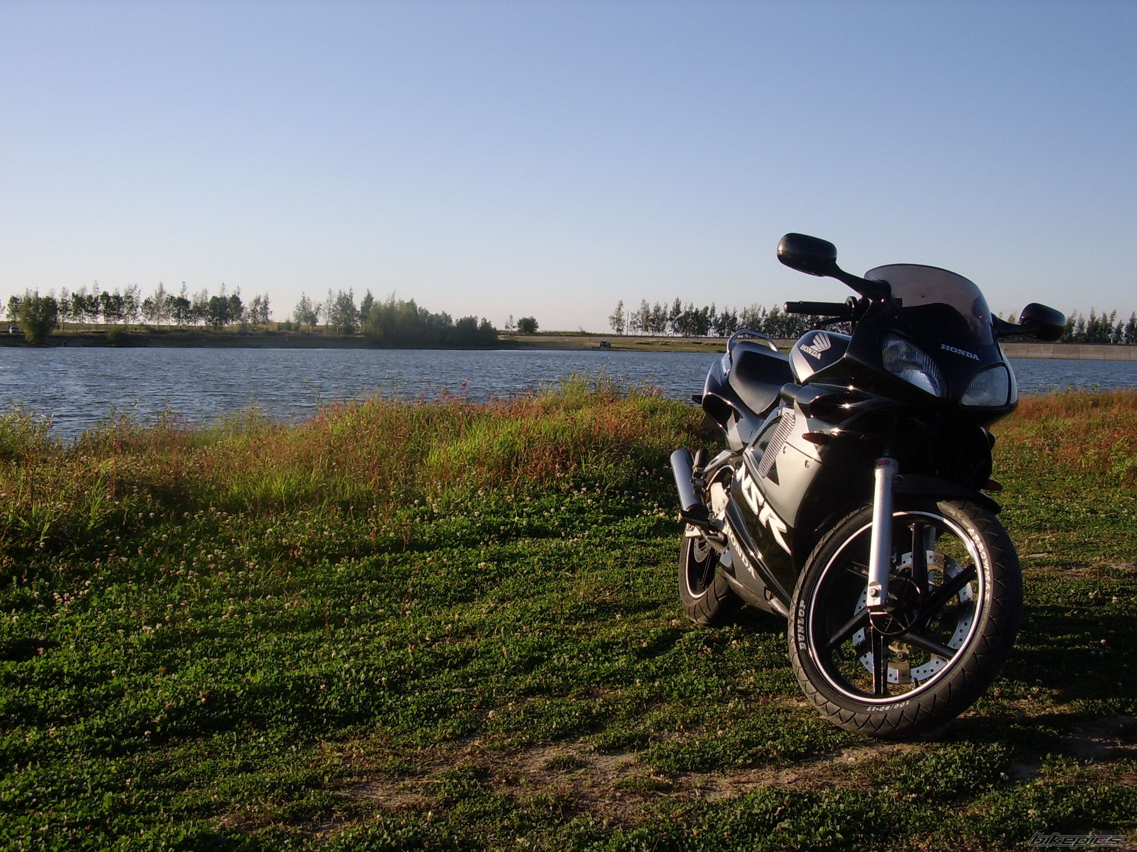 2002 HONDA NSR 125 | Picture 2272192 motorcycle photo