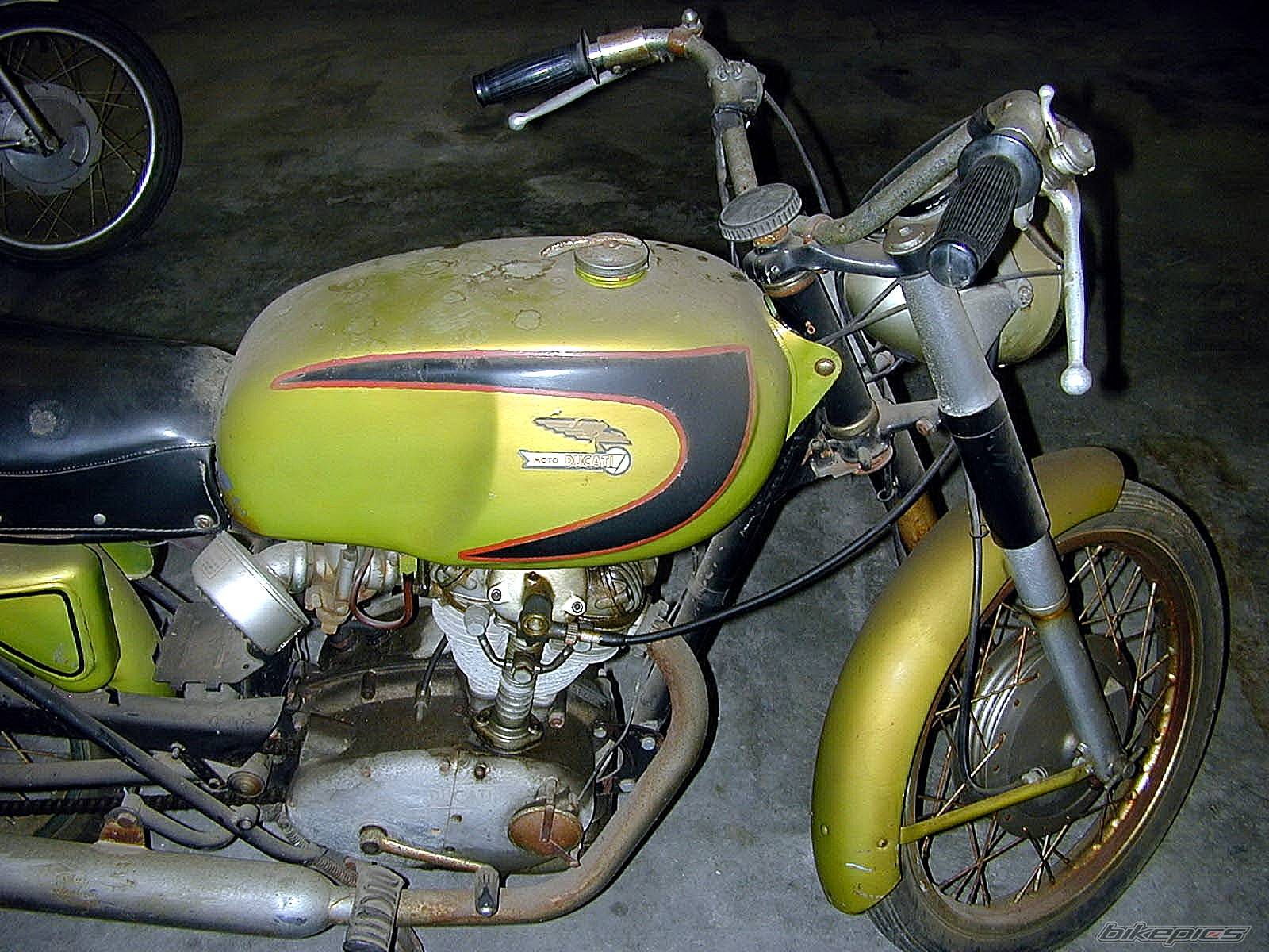 1964 DUCATI MACH 1  250 | Picture 227232 motorcycle photo