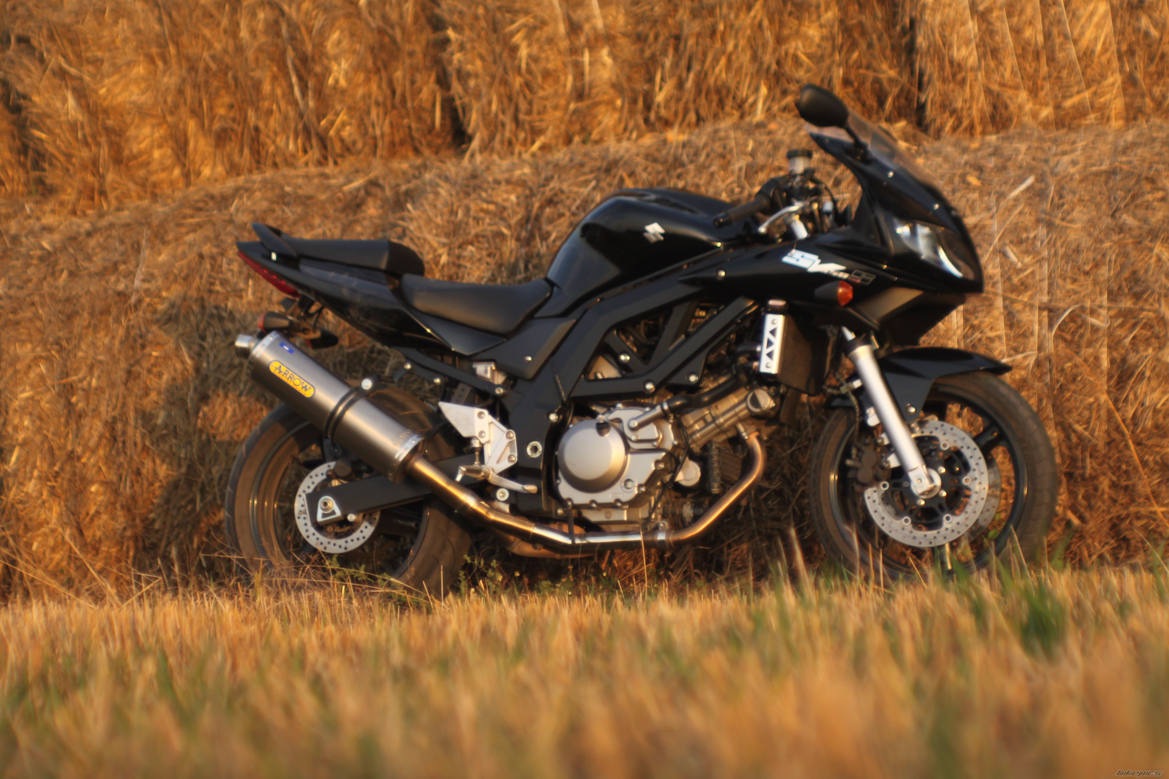 2005 SUZUKI SV 650S | Picture 2272460 motorcycle photo