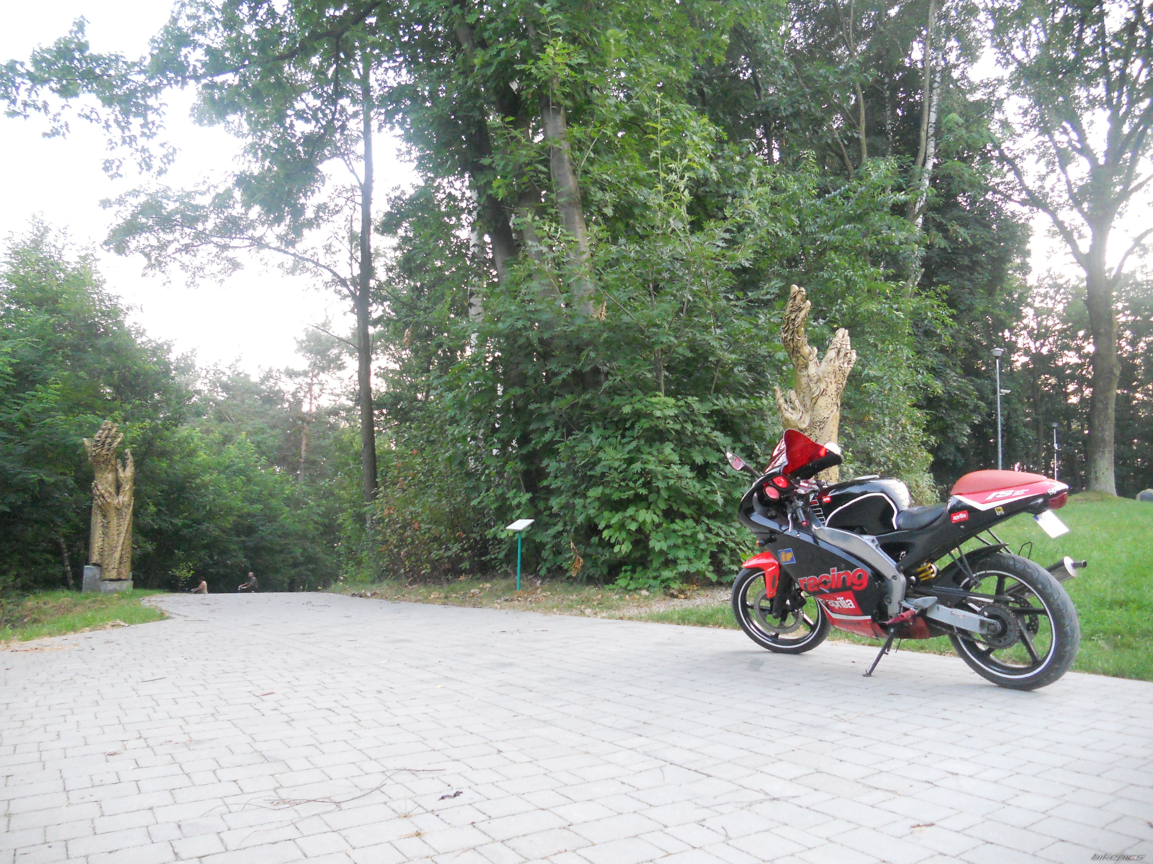 2003 APRILIA RS 50 | Picture 2272544 motorcycle photo