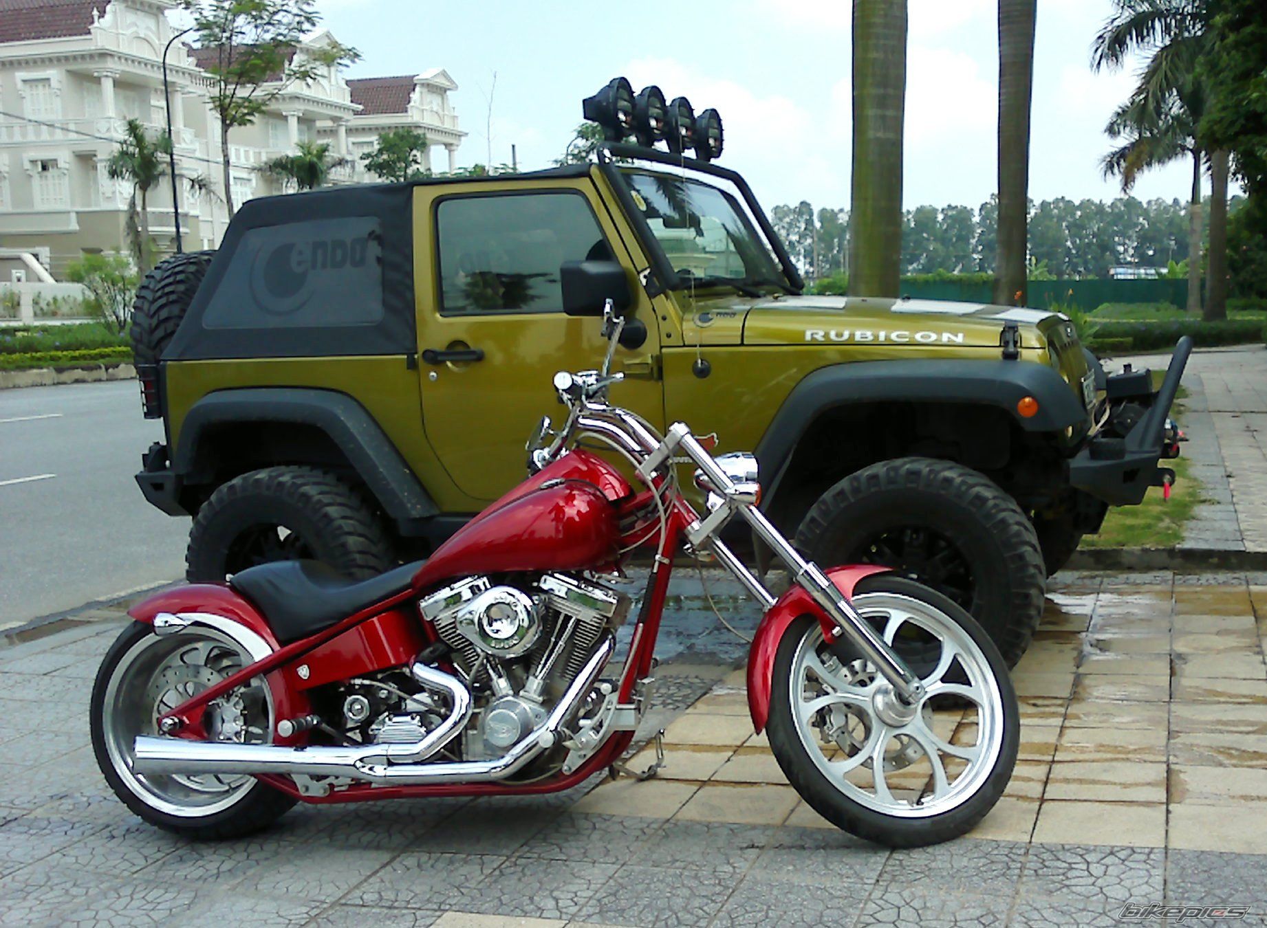 2003 BIGDOG PITBULL | Picture 2273212 motorcycle photo