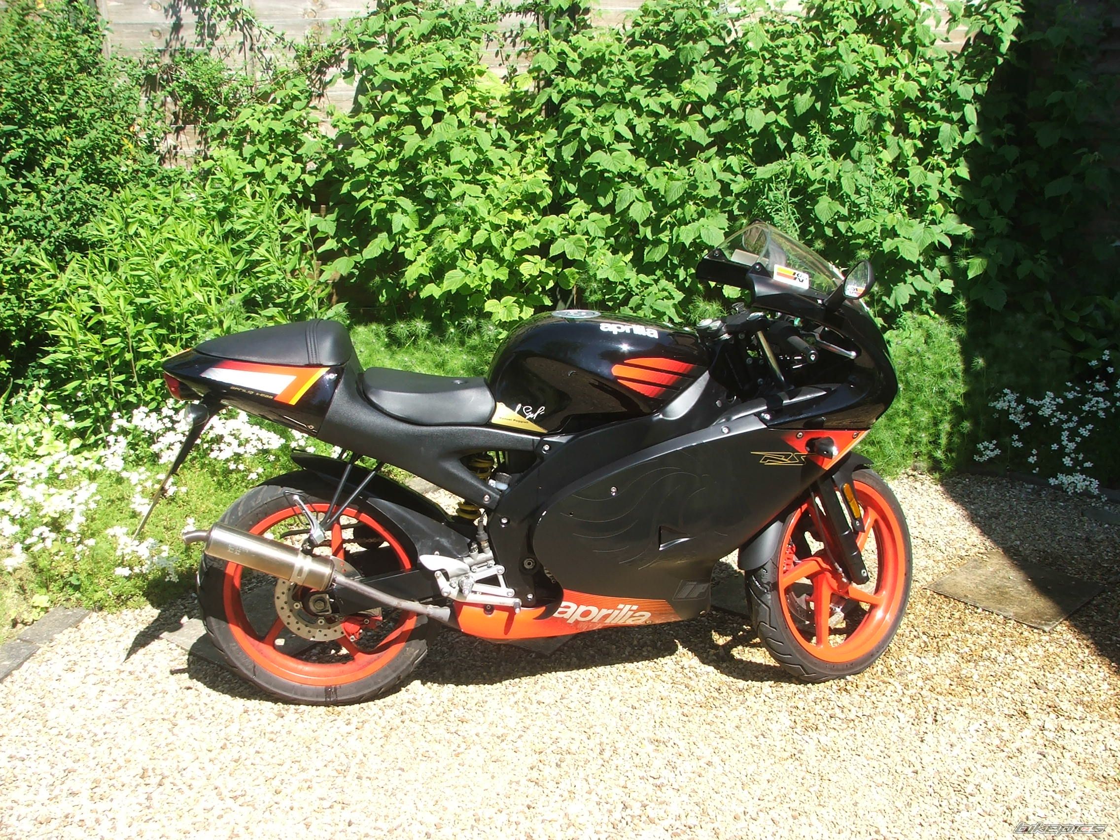 2004 APRILIA RS 50 | Picture 2273551 motorcycle photo