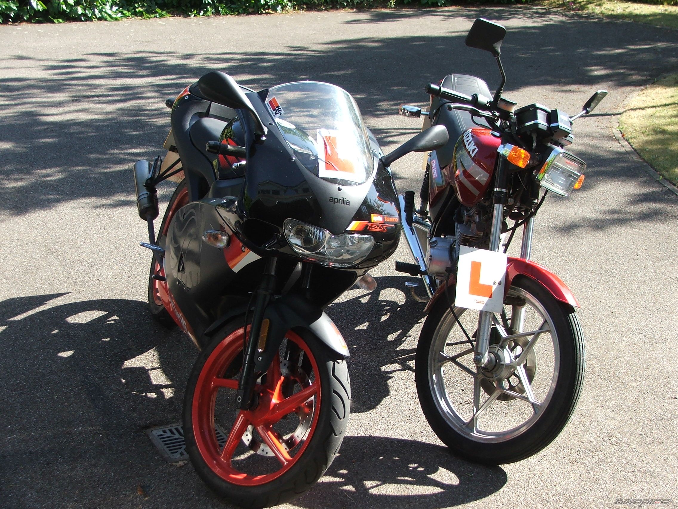 2004 APRILIA RS 50 | Picture 2273578 motorcycle photo