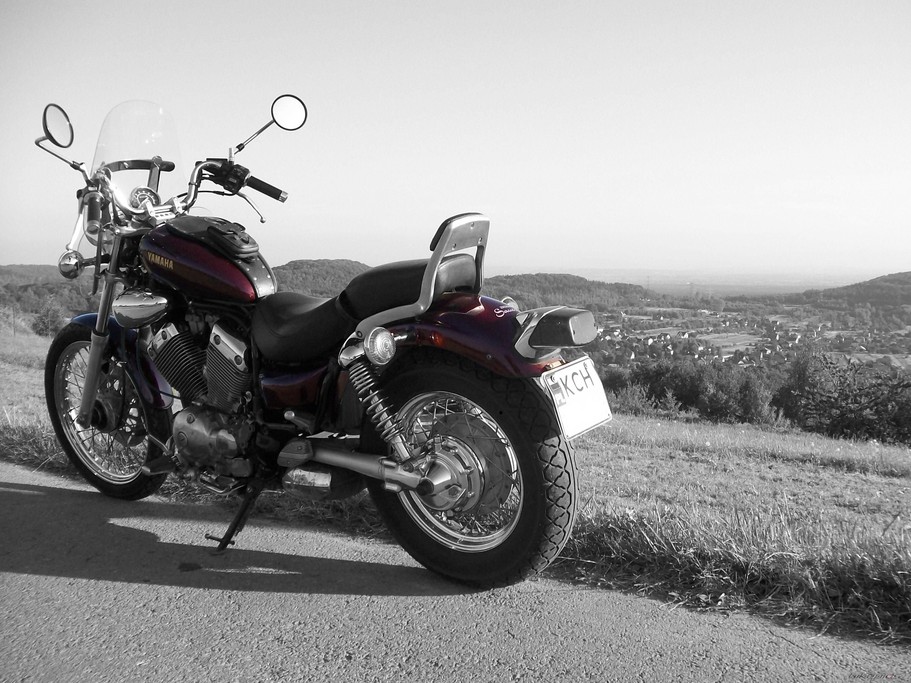 2001 DERBI SENDA SM 50 | Picture 2273595 motorcycle photo