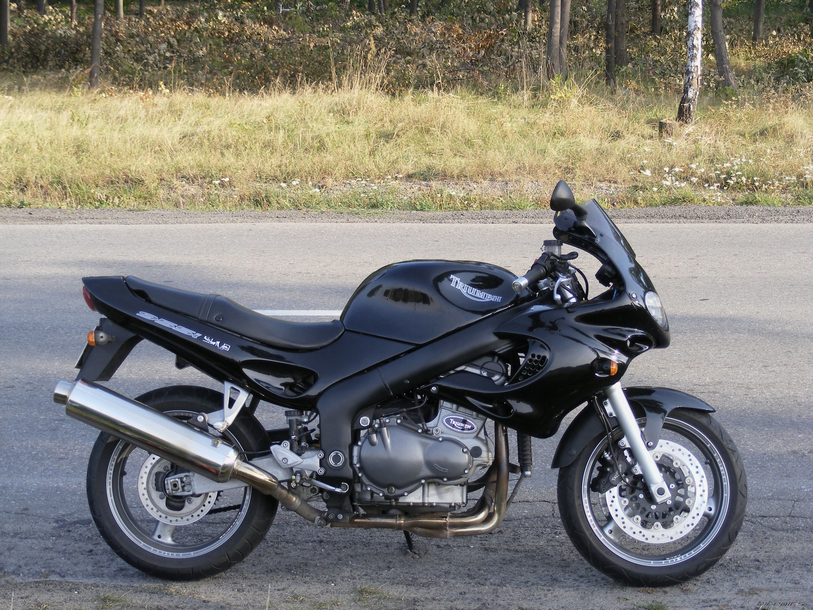 2001 TRIUMPH SPRINT RS | Picture 2273608 motorcycle photo