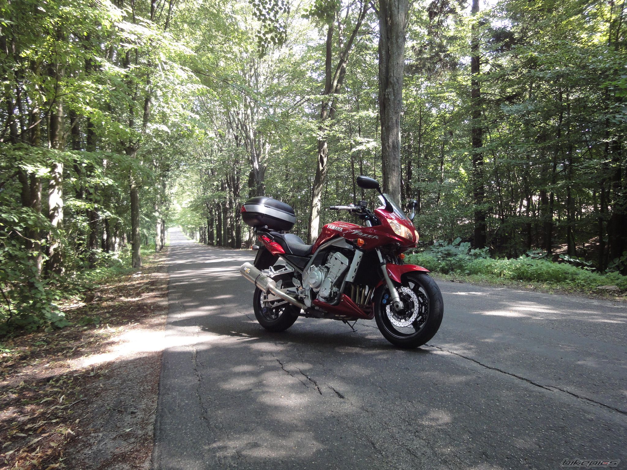 2001 YAMAHA FZS 1000 FAZER | Picture 2274082 motorcycle photo