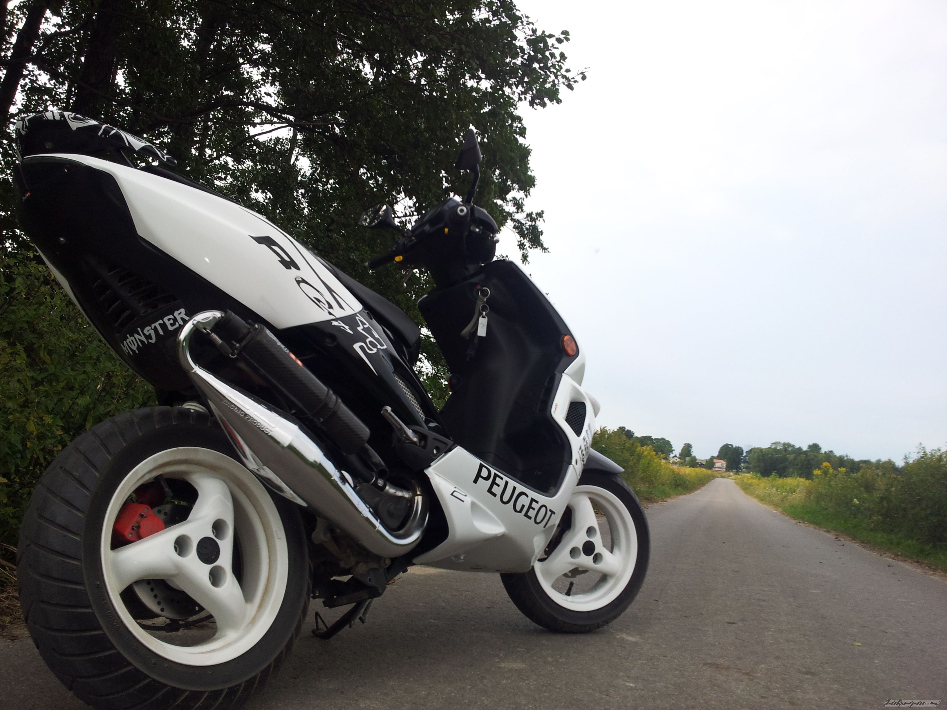 2008 PEUGEOT SPEEDFIGHT2 50 | Picture 2274669 motorcycle photo