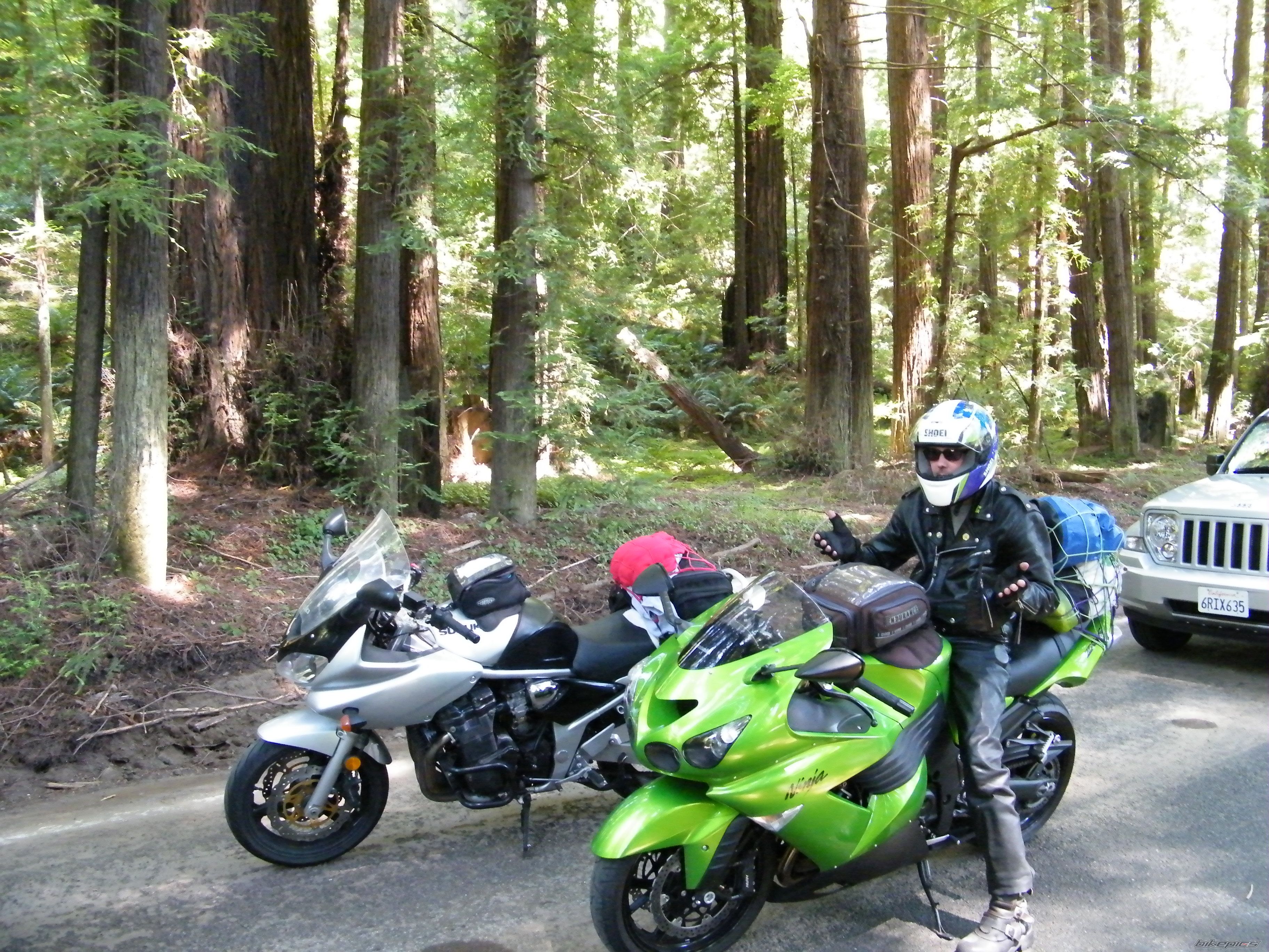 2003 SUZUKI BANDIT 1200 | Picture 2274844 motorcycle photo