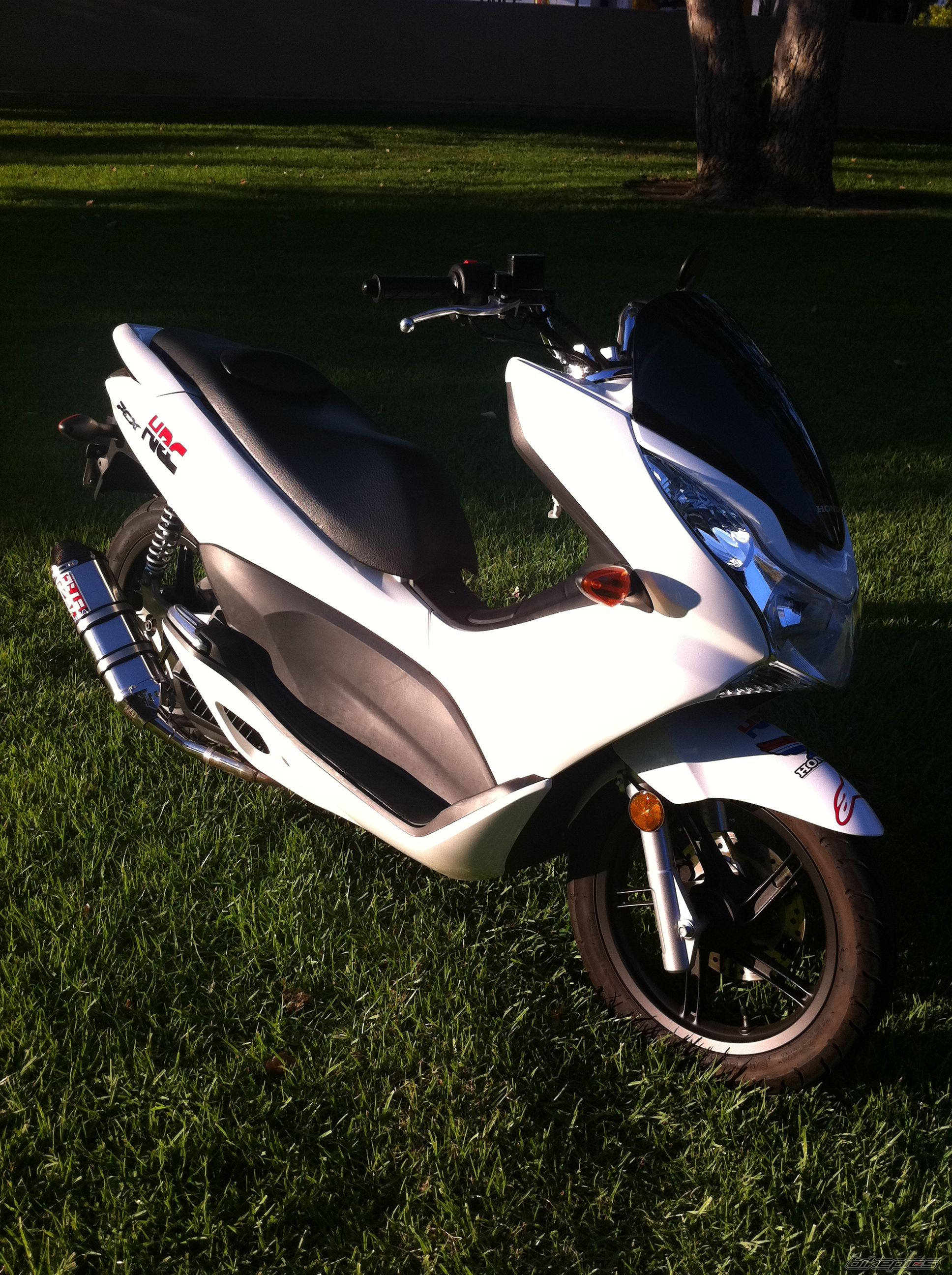 2011 HONDA PCX | Picture 2274913 motorcycle photo