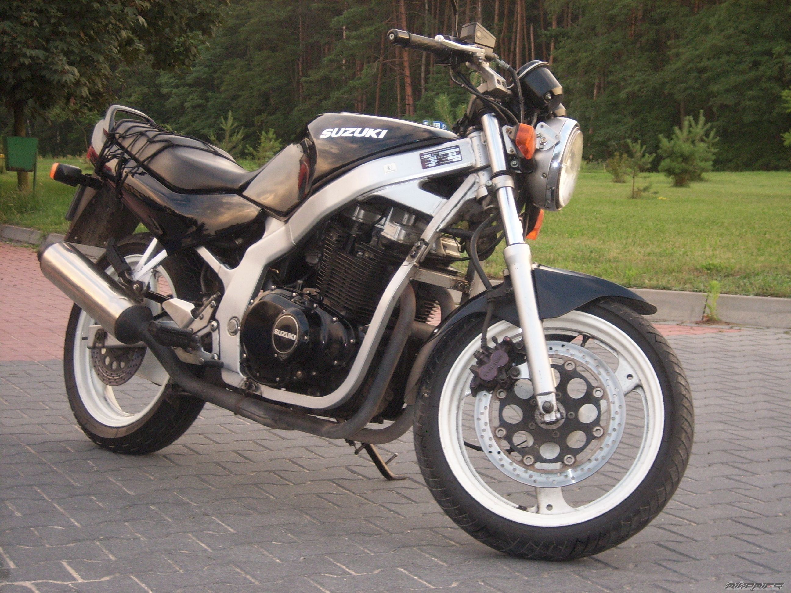 1995 SUZUKI GS 500 | Picture 2274996 motorcycle photo