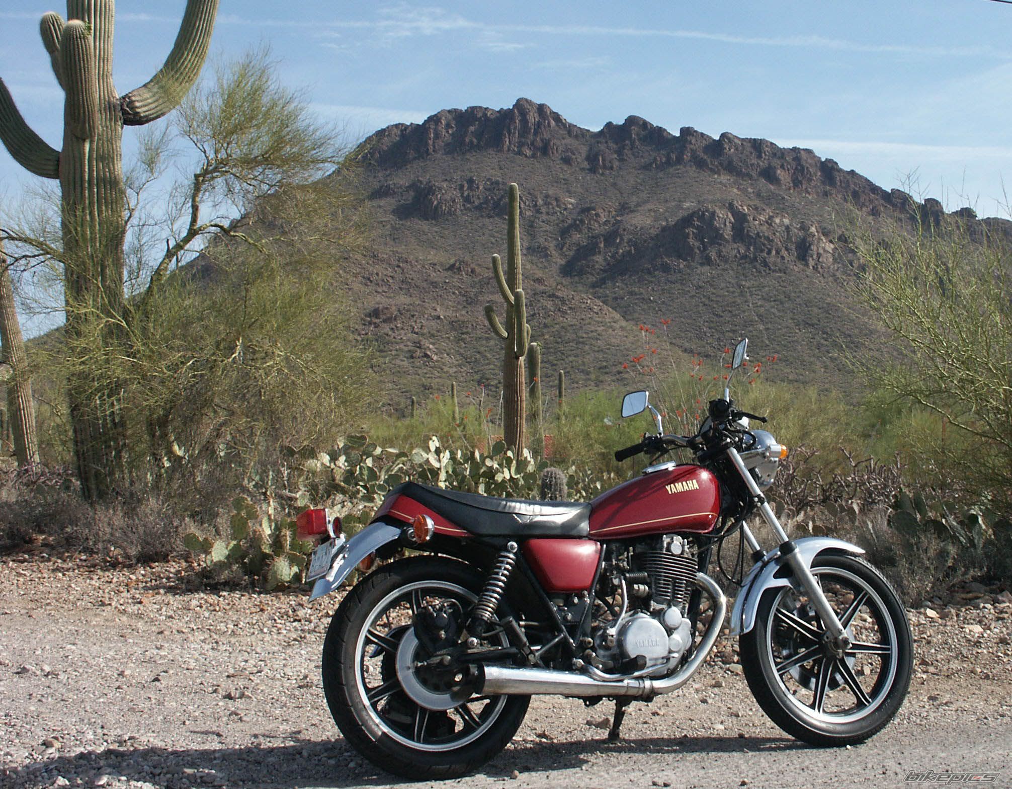 1978 YAMAHA SR 500 | Picture 2276181 motorcycle photo