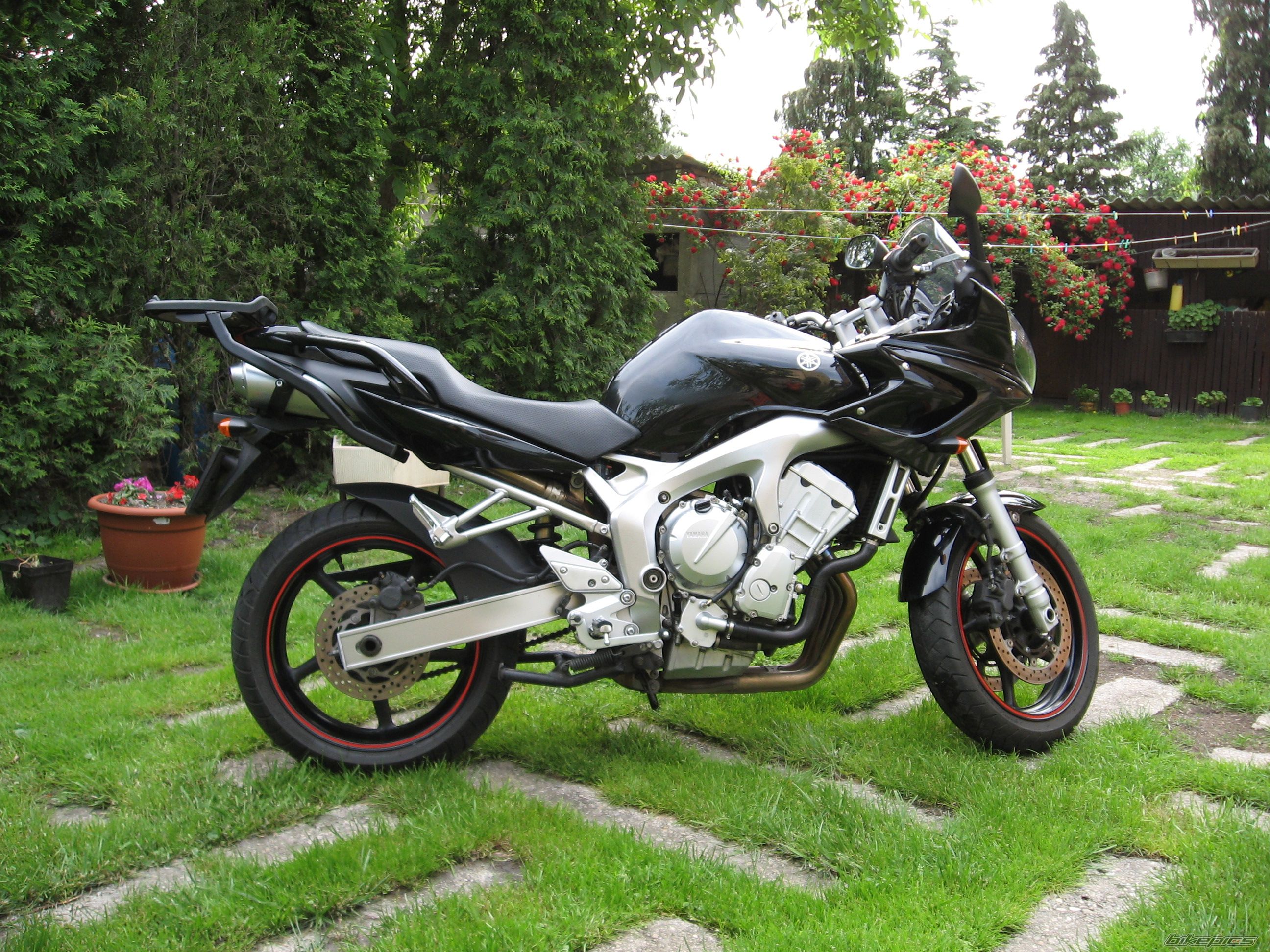 2005 YAMAHA FZ6 FAZER | Picture 2276467 motorcycle photo