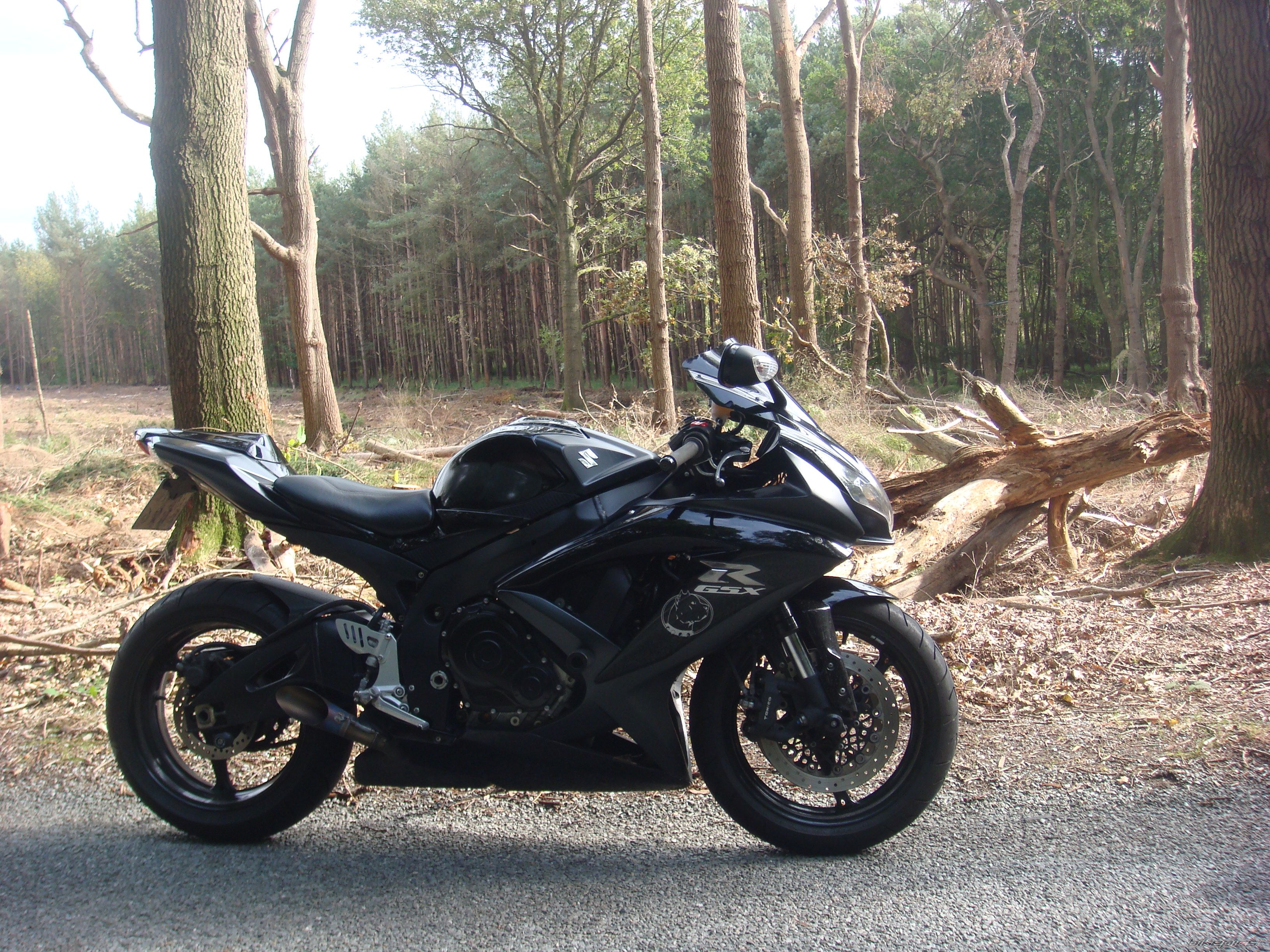 2008 SUZUKI GSX R 750 | Picture 2276475 motorcycle photo