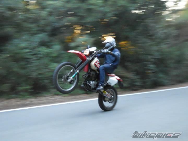1999 HONDA XR 400 | Picture 2276666 motorcycle photo