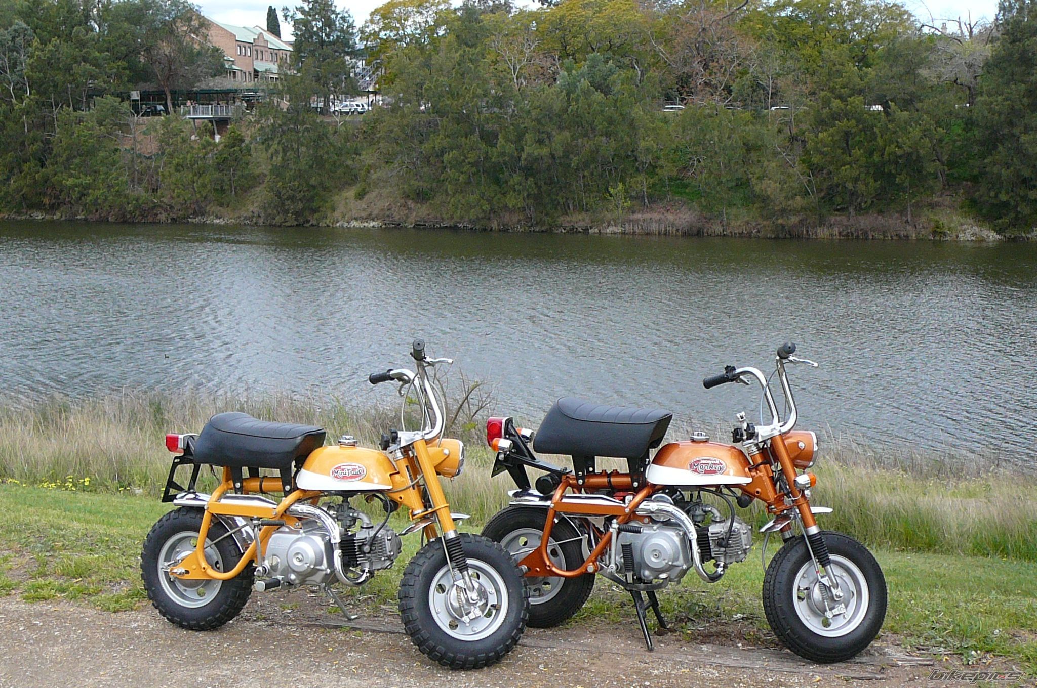    | Picture 2276751 motorcycle photo