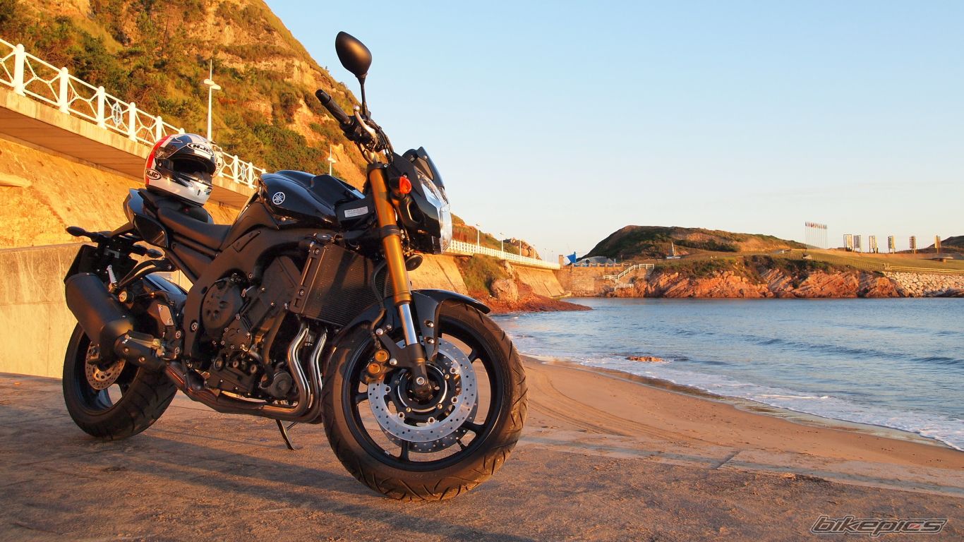 2011 YAMAHA FZ 8N | Picture 2276808 motorcycle photo