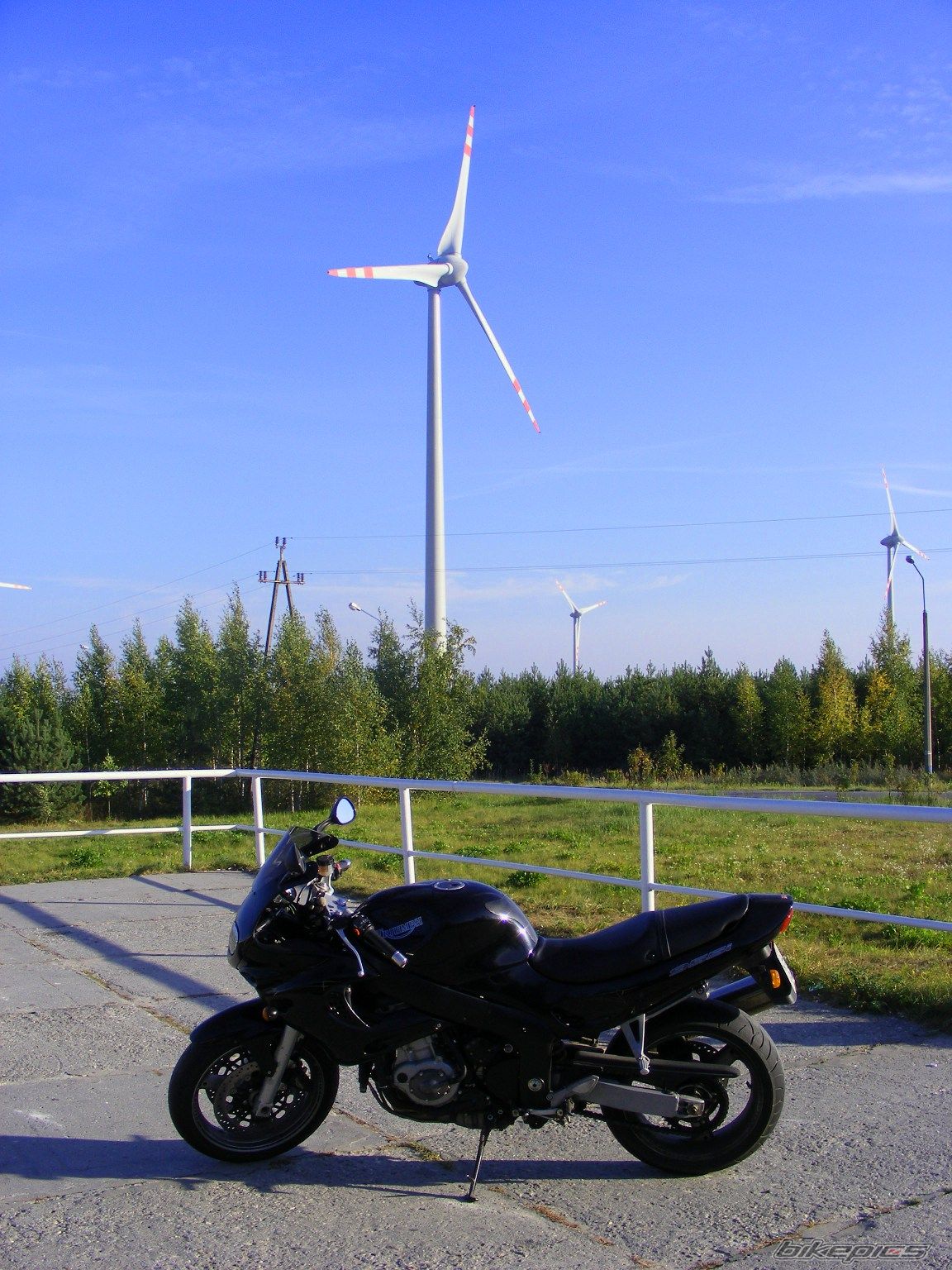 2001 TRIUMPH SPRINT RS | Picture 2277251 motorcycle photo