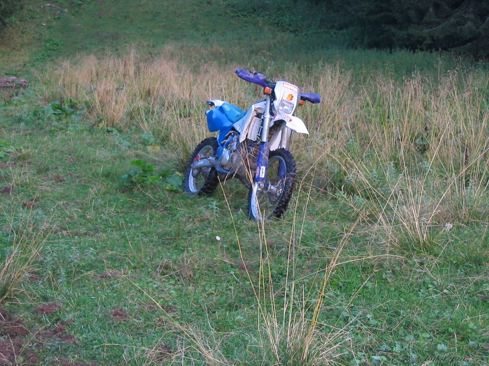 1992 YAMAHA WR 200 | Picture 227844 motorcycle photo