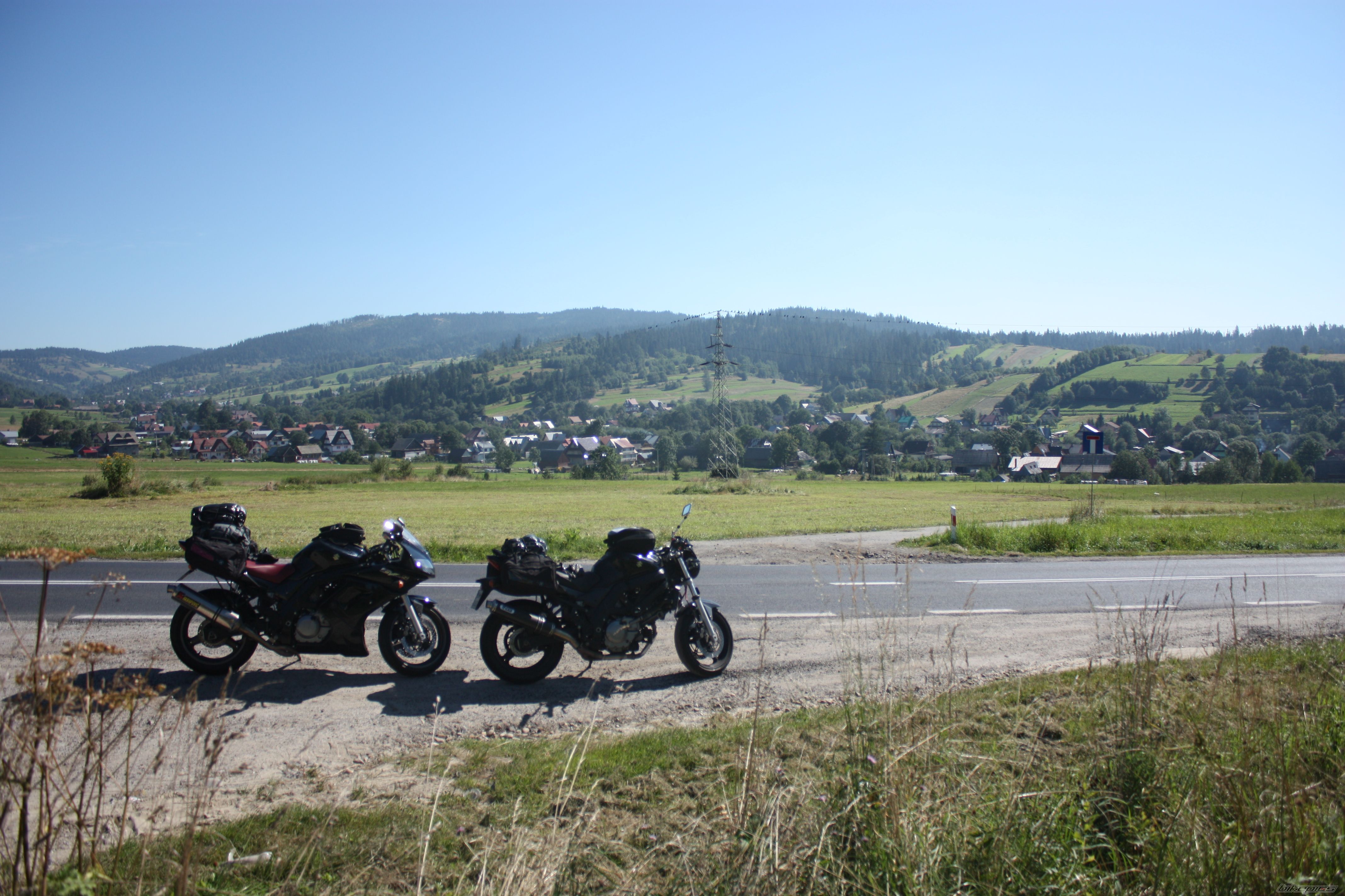 2008 SUZUKI SV 650S | Picture 2278550 motorcycle photo