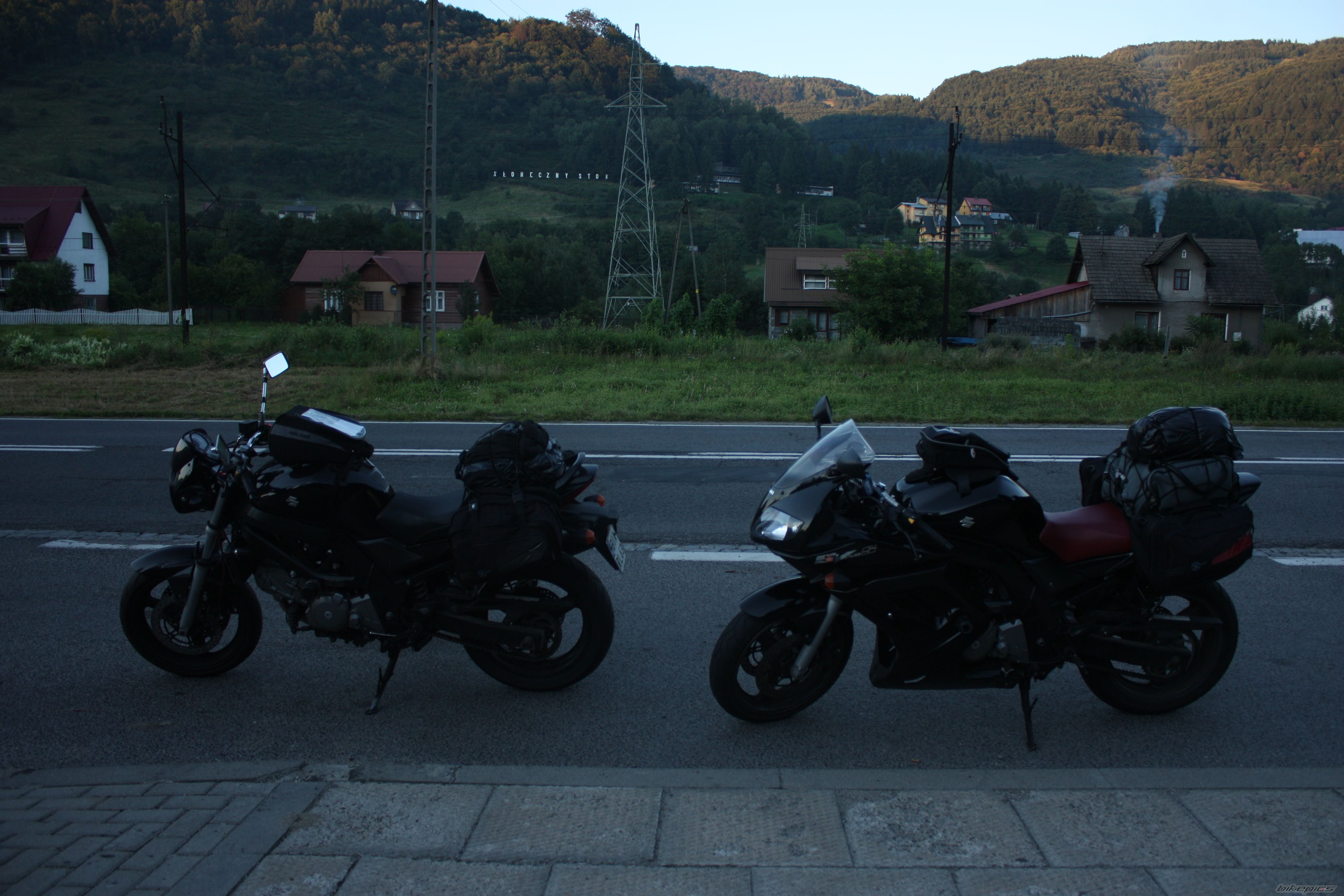 2008 SUZUKI SV 650S | Picture 2278558 motorcycle photo