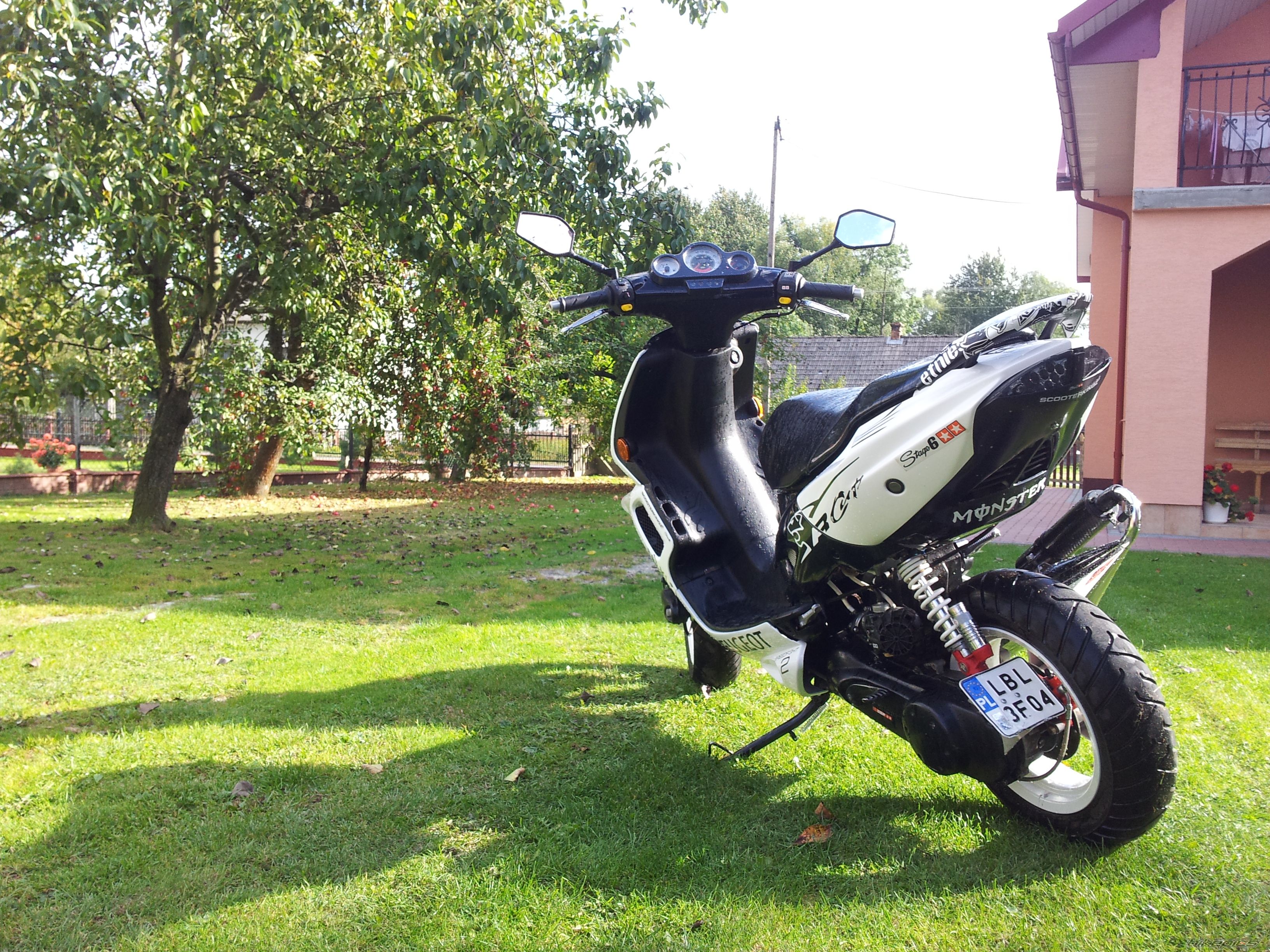 2008 PEUGEOT SPEEDFIGHT2 50 | Picture 2278651 motorcycle photo