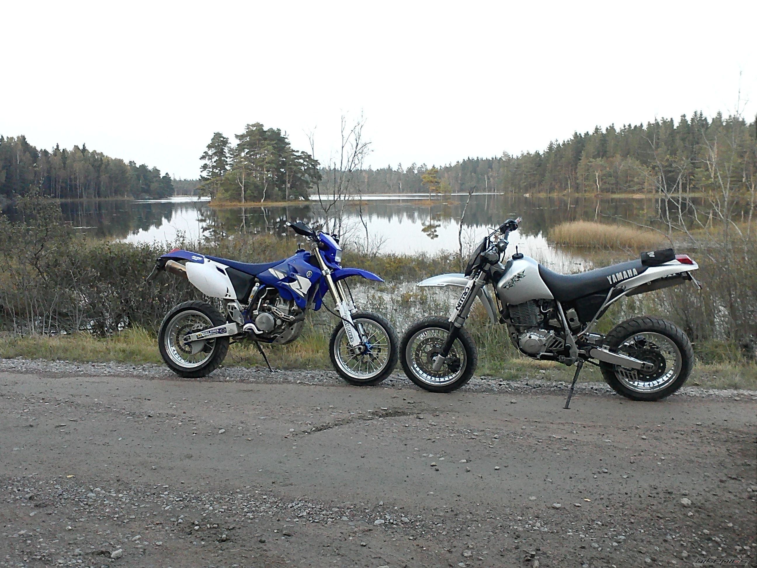 2004 YAMAHA WR 450F | Picture 2279060 motorcycle photo