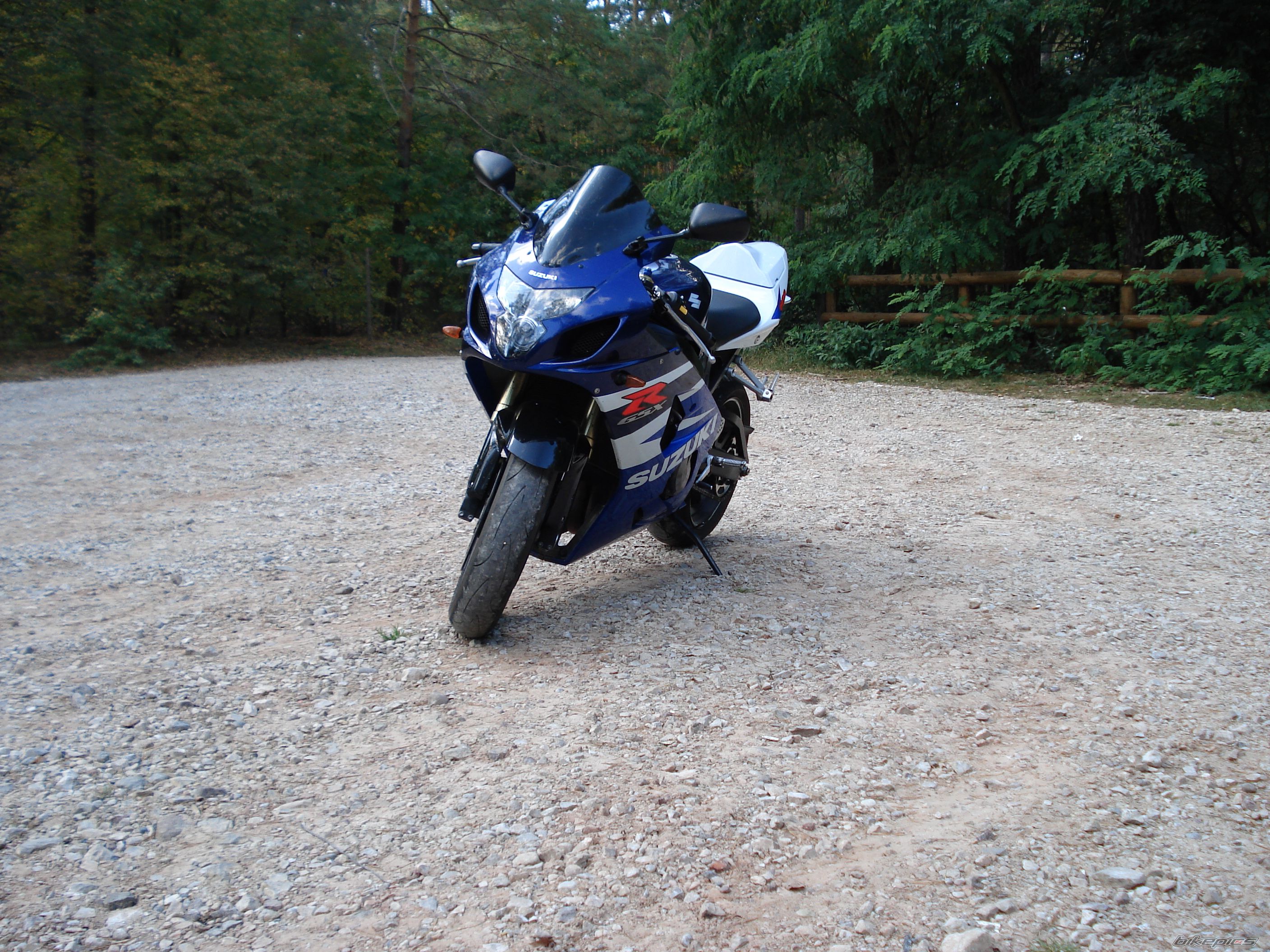 2004 SUZUKI GSX R 600 | Picture 2279074 motorcycle photo