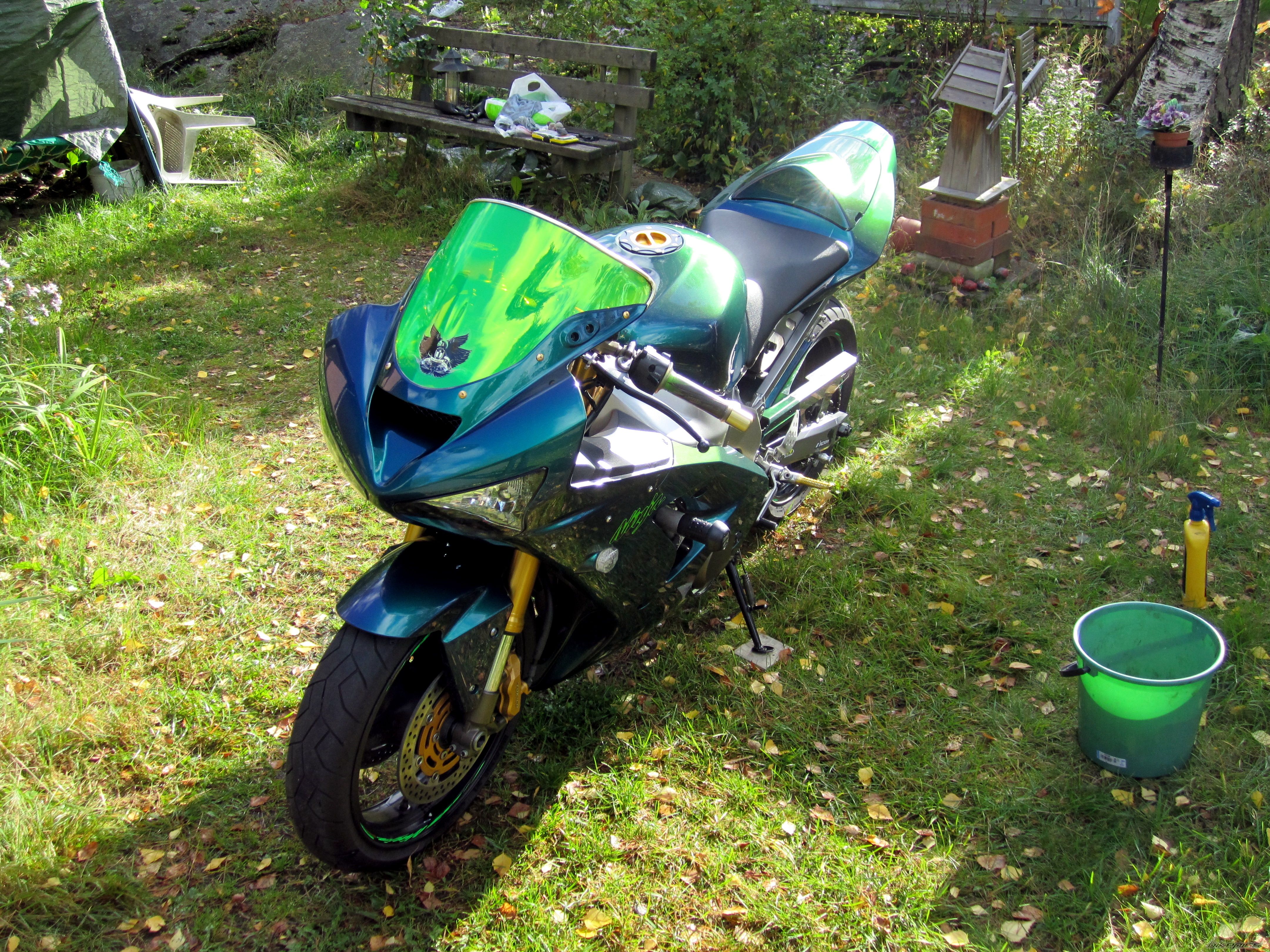 2004 KAWASAKI ZX 6R | Picture 2279276 motorcycle photo
