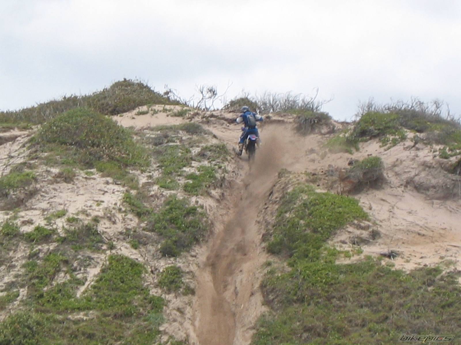 2003 YAMAHA WR450 | Picture 227942 motorcycle photo