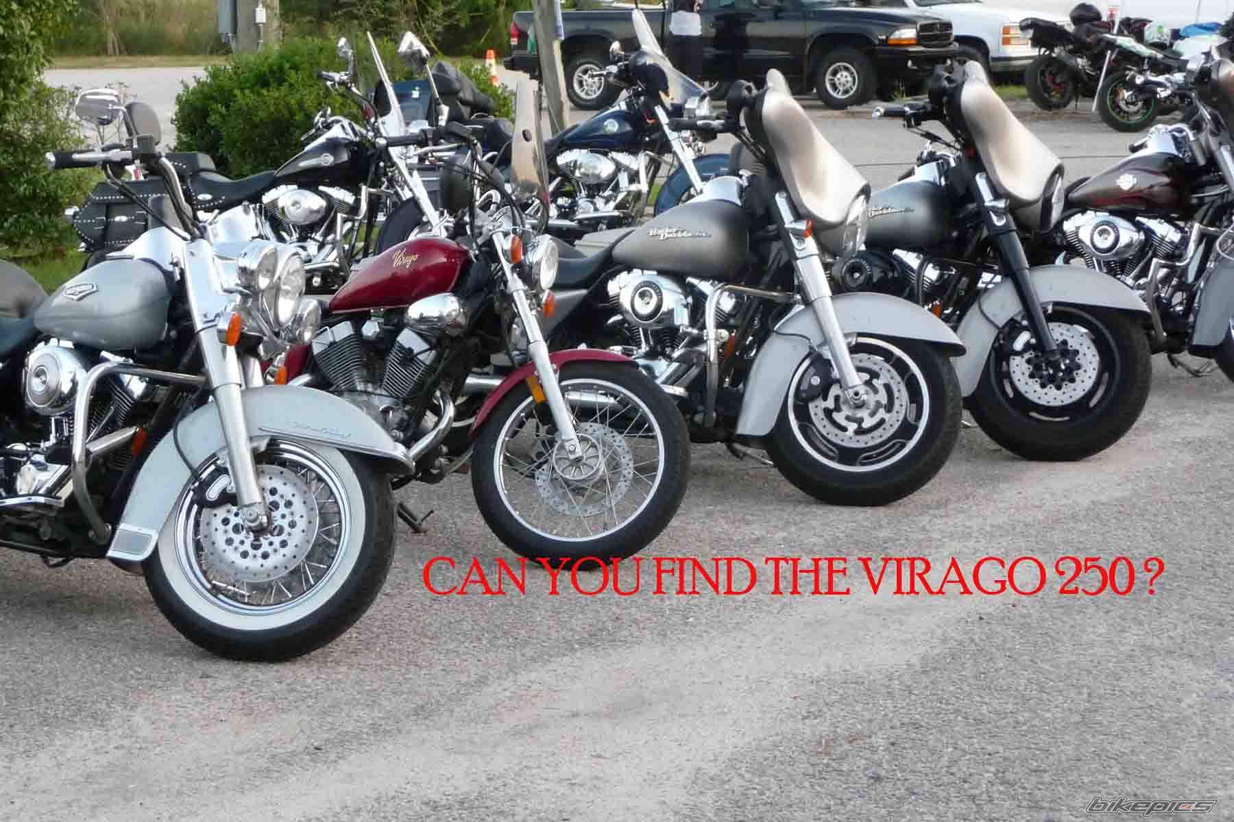 1995 YAMAHA VIRAGO 250 | Picture 2280065 motorcycle photo
