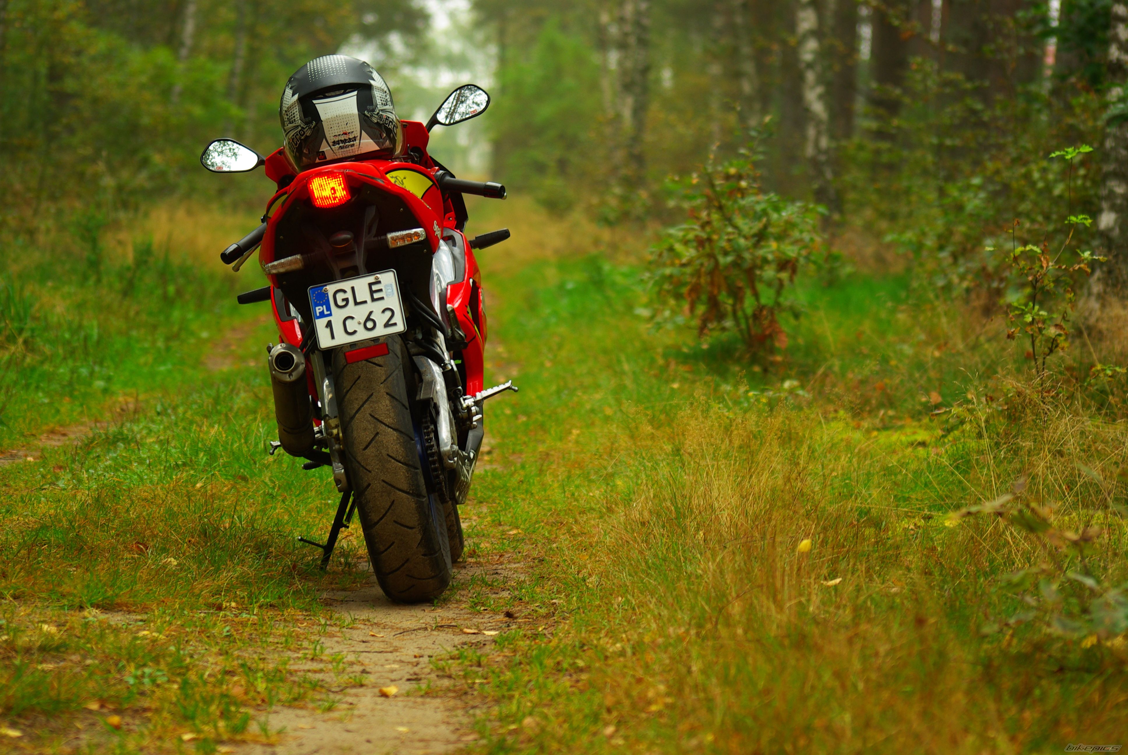 2007 APRILIA RS 125 | Picture 2280192 motorcycle photo