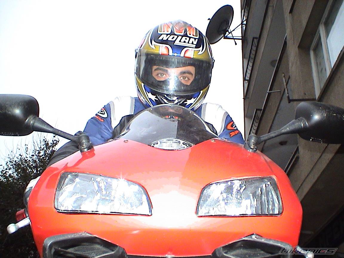 2003 HONDA CBR 600 | Picture 228041 motorcycle photo
