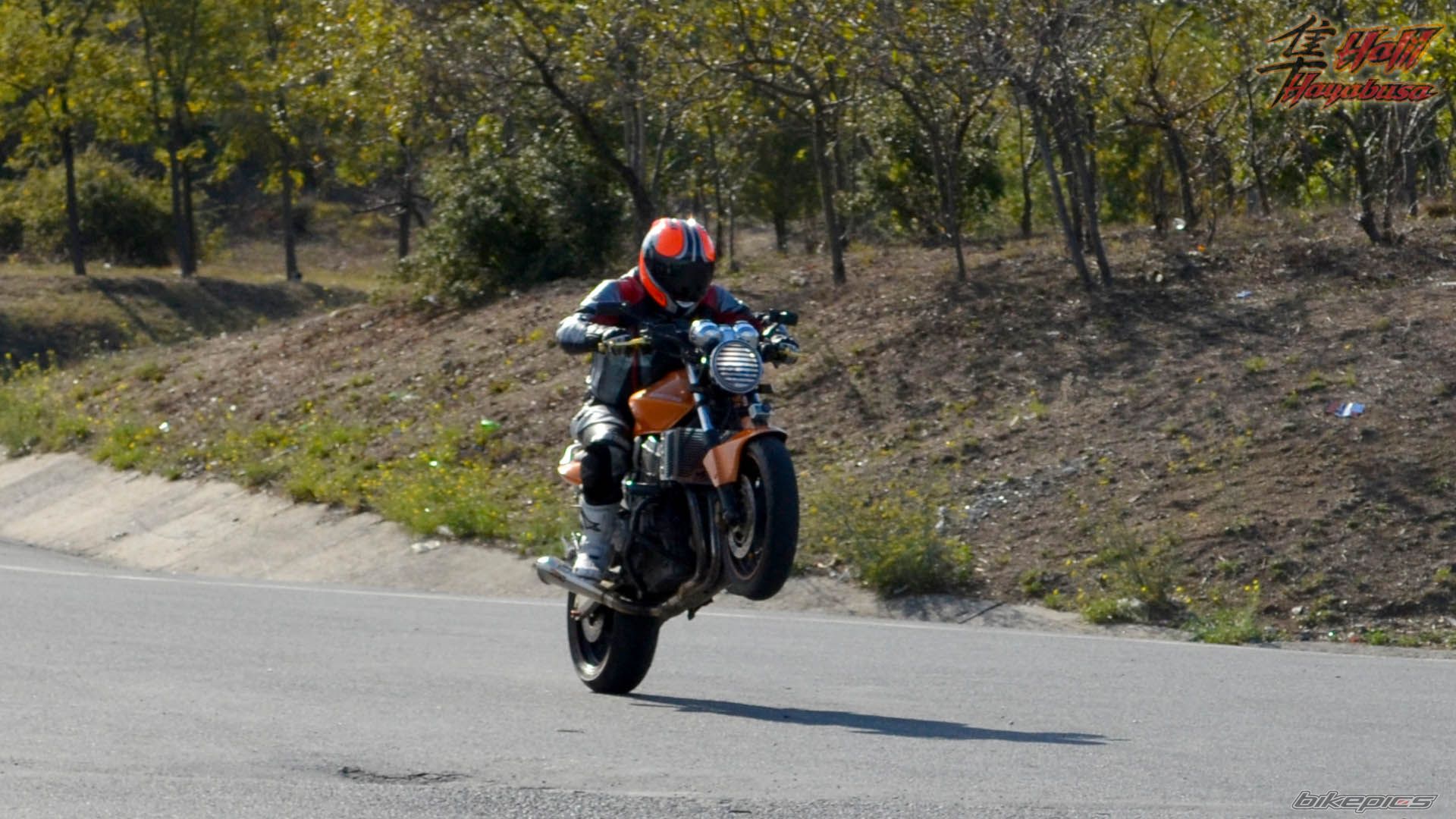 2005 HONDA CB 900 | Picture 2280440 motorcycle photo