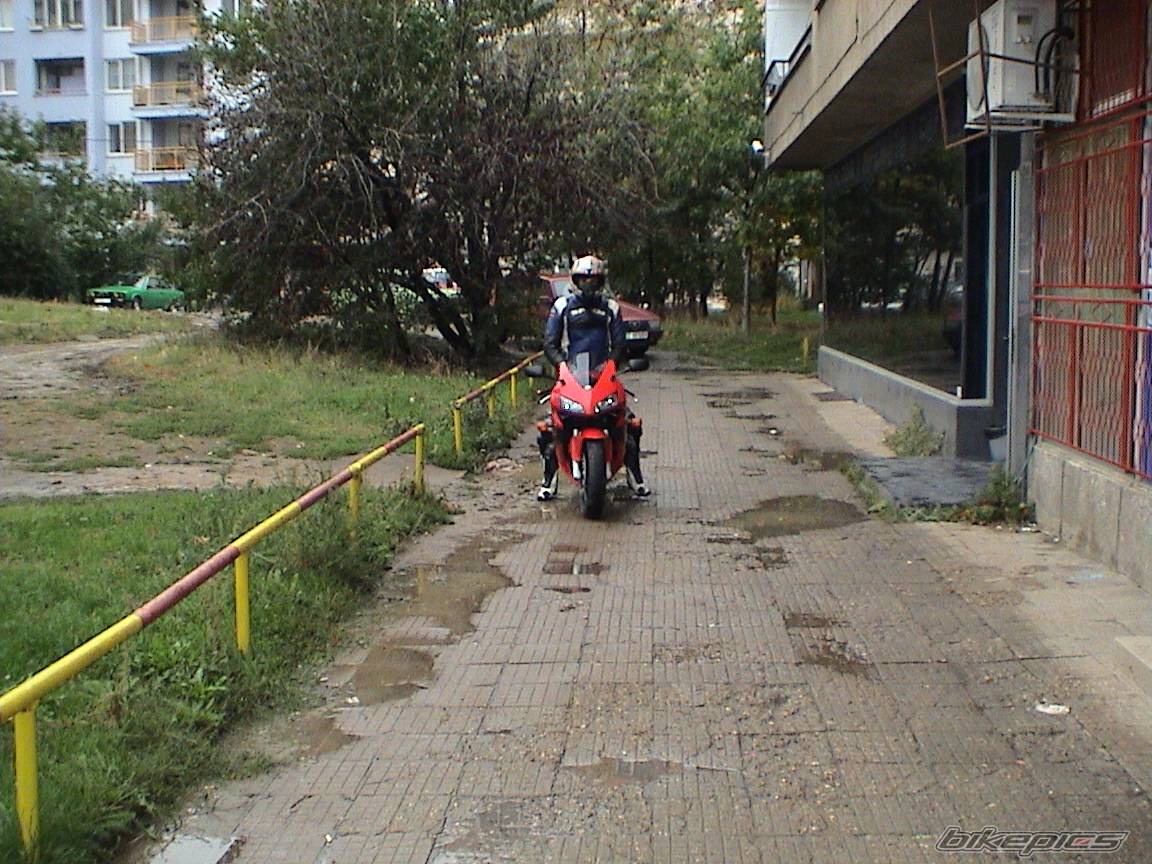 2003 HONDA CBR 600 | Picture 228047 motorcycle photo