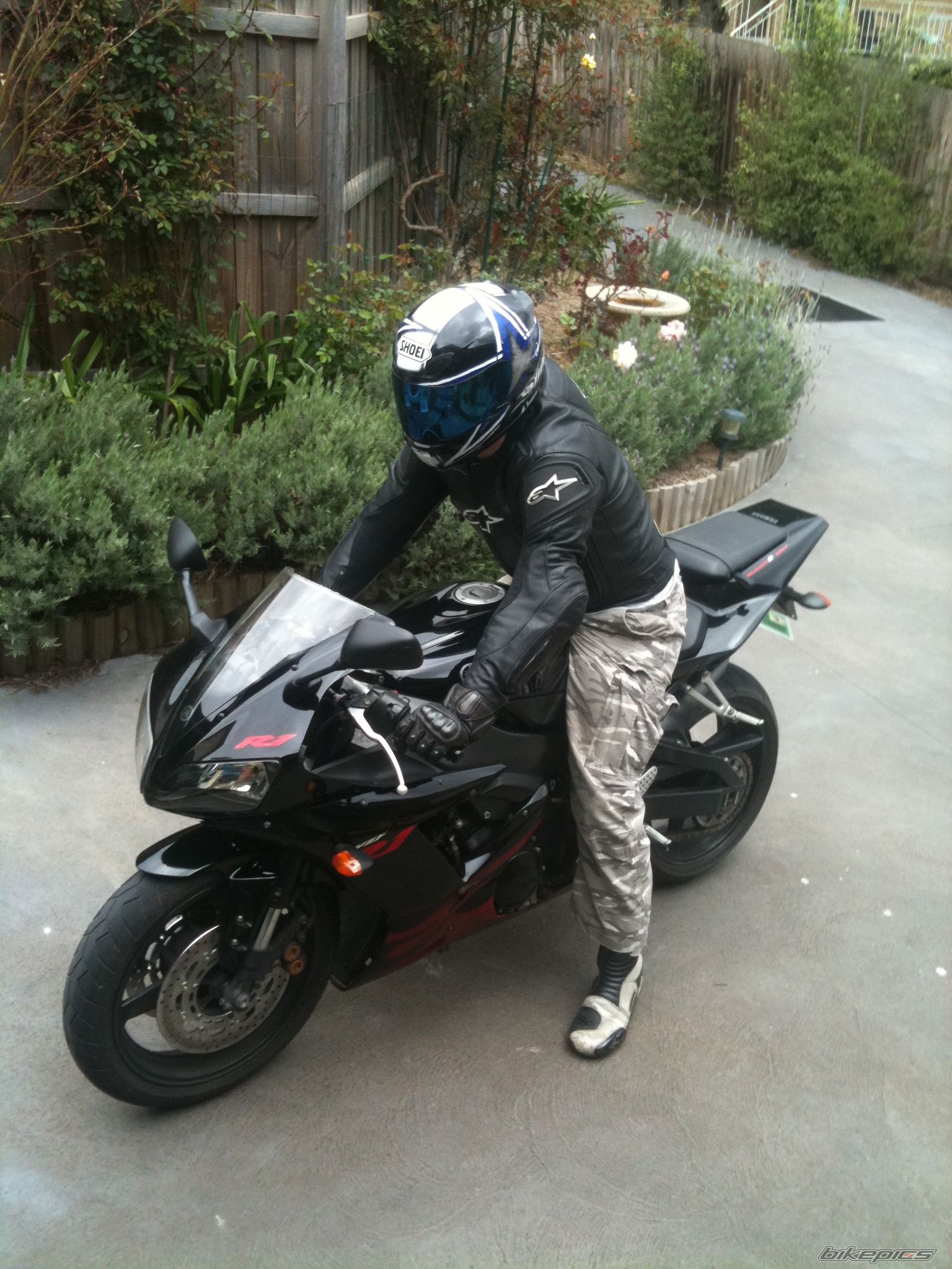 2003 YAMAHA YZF R1 | Picture 2280873 motorcycle photo