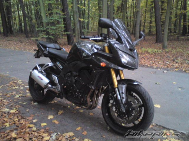 2007 YAMAHA FZ 1 | Picture 2281519 motorcycle photo