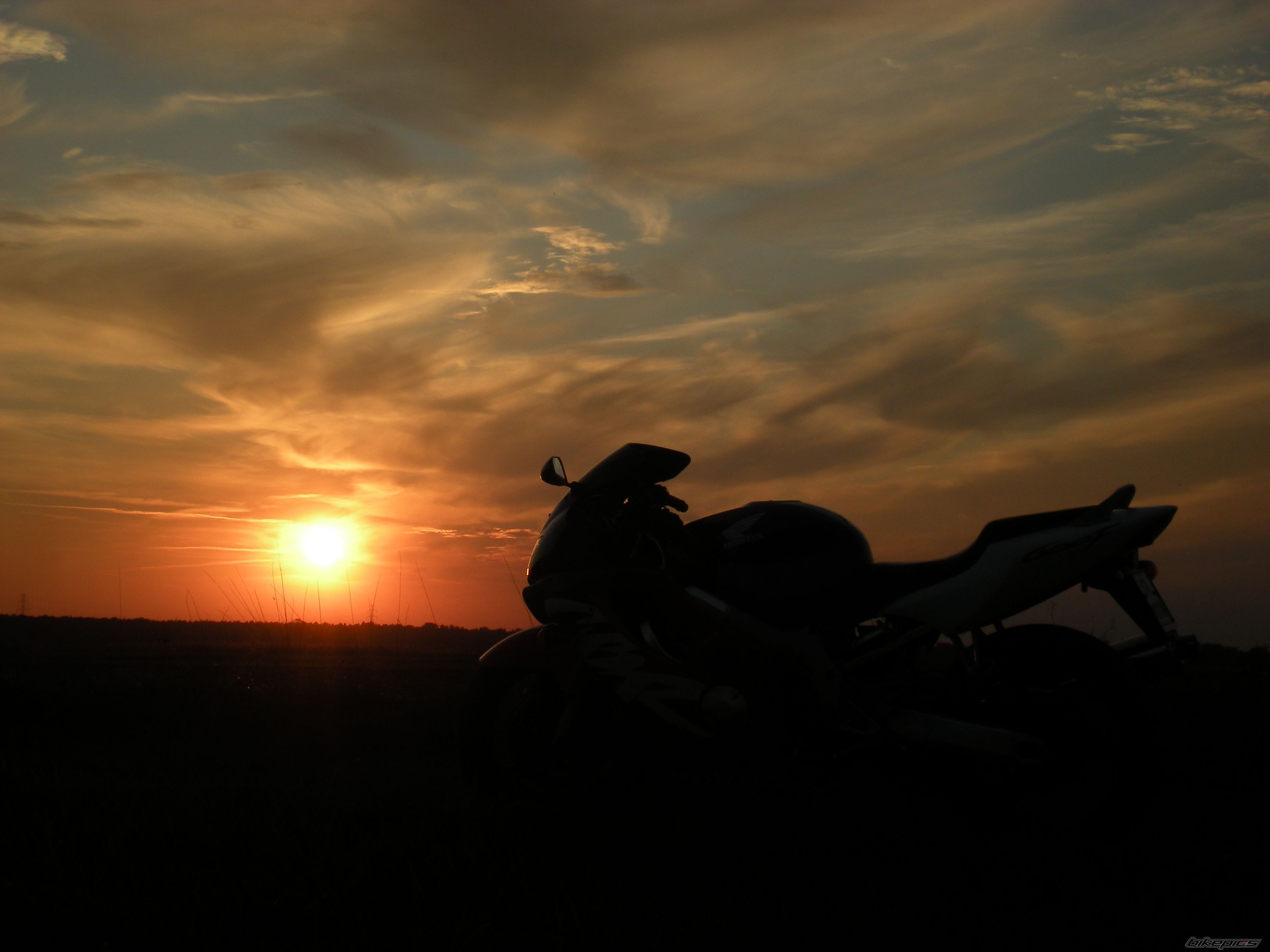 2000 HONDA CBR 600 | Picture 2281849 motorcycle photo