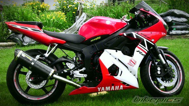 2005 YAMAHA YZF R6 | Picture 2282025 motorcycle photo